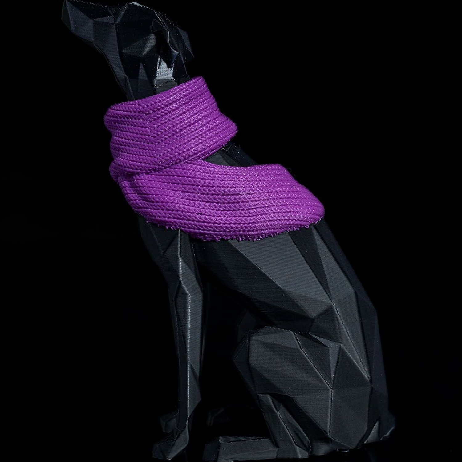 Milly, the Whippet