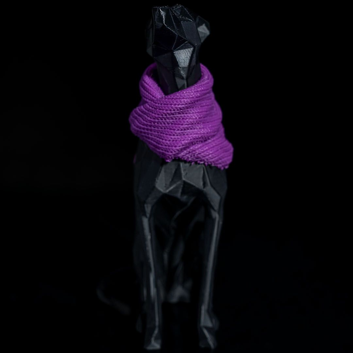 Milly, the Whippet
