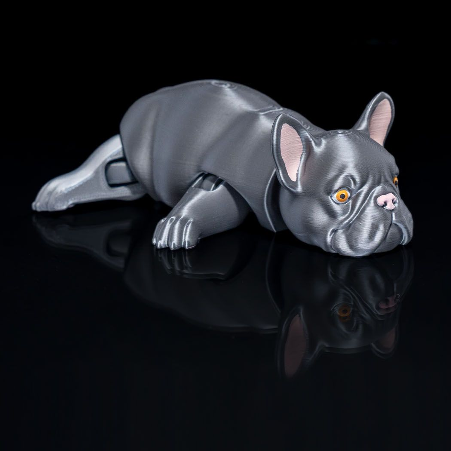 French Bulldog