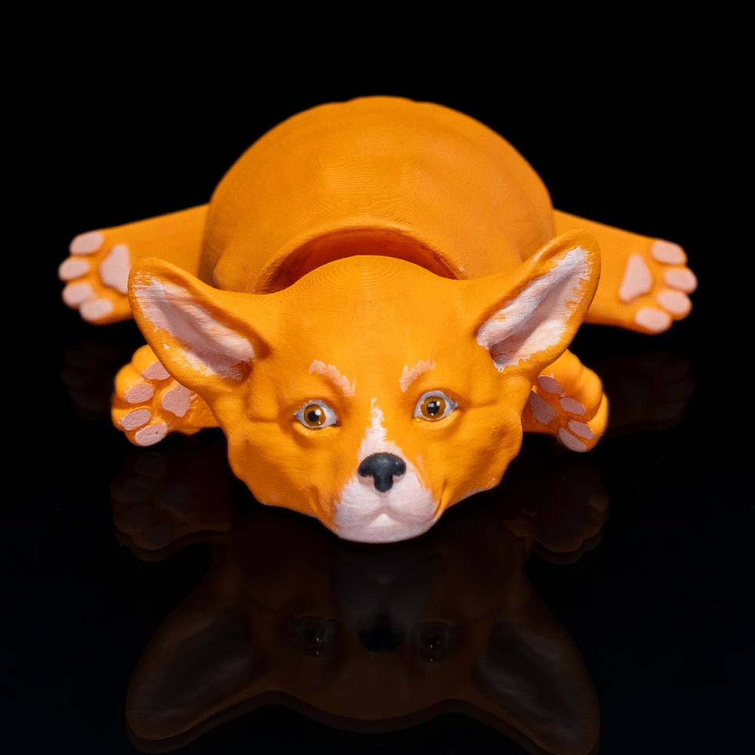 Pembroke Welsh Corgi