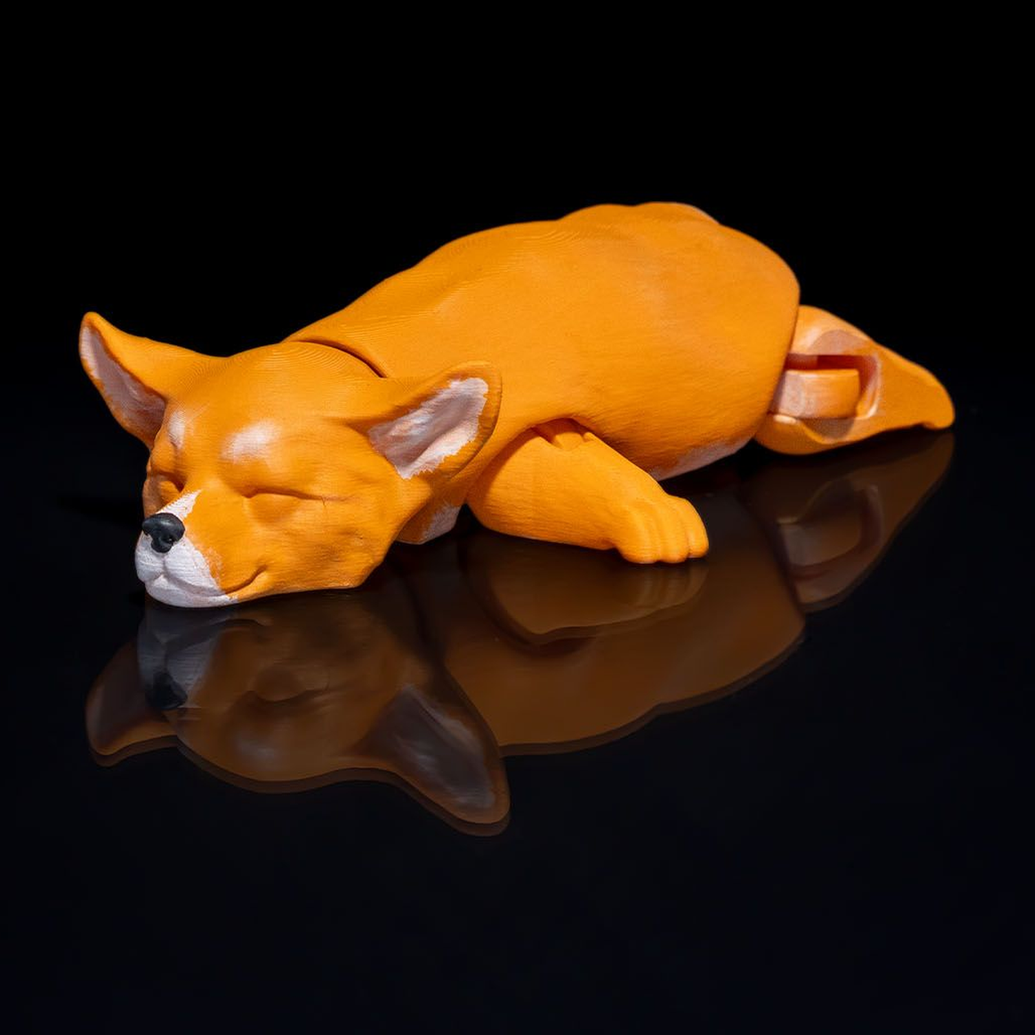 Pembroke Welsh Corgi