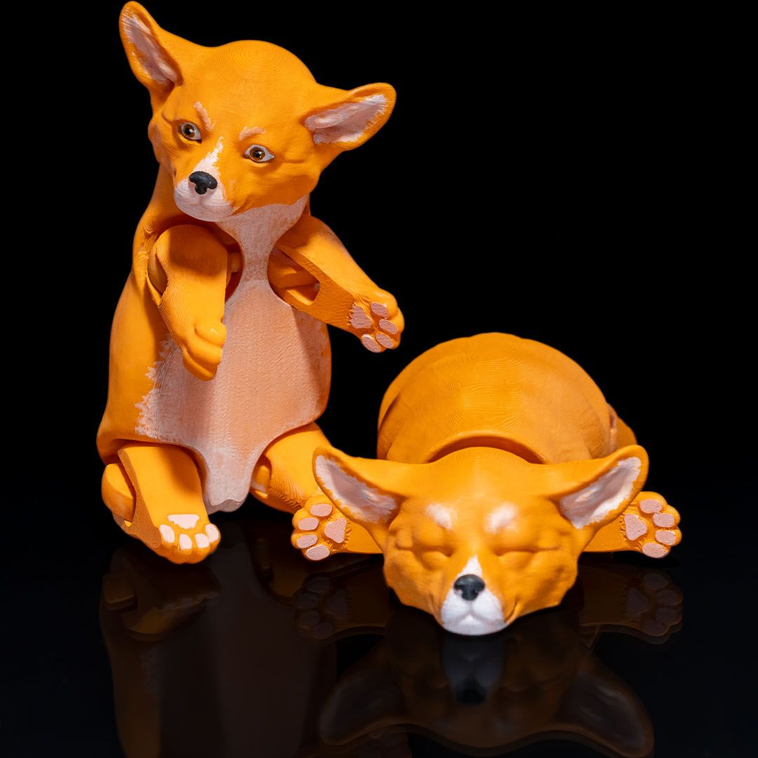 Pembroke Welsh Corgi