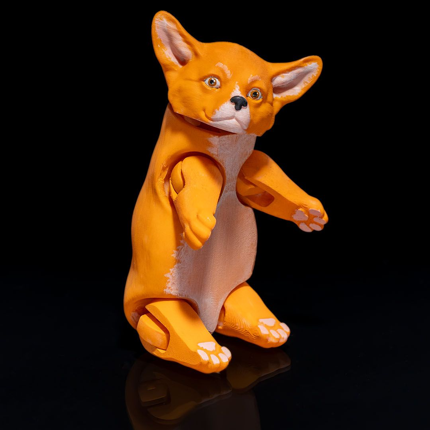 Pembroke Welsh Corgi