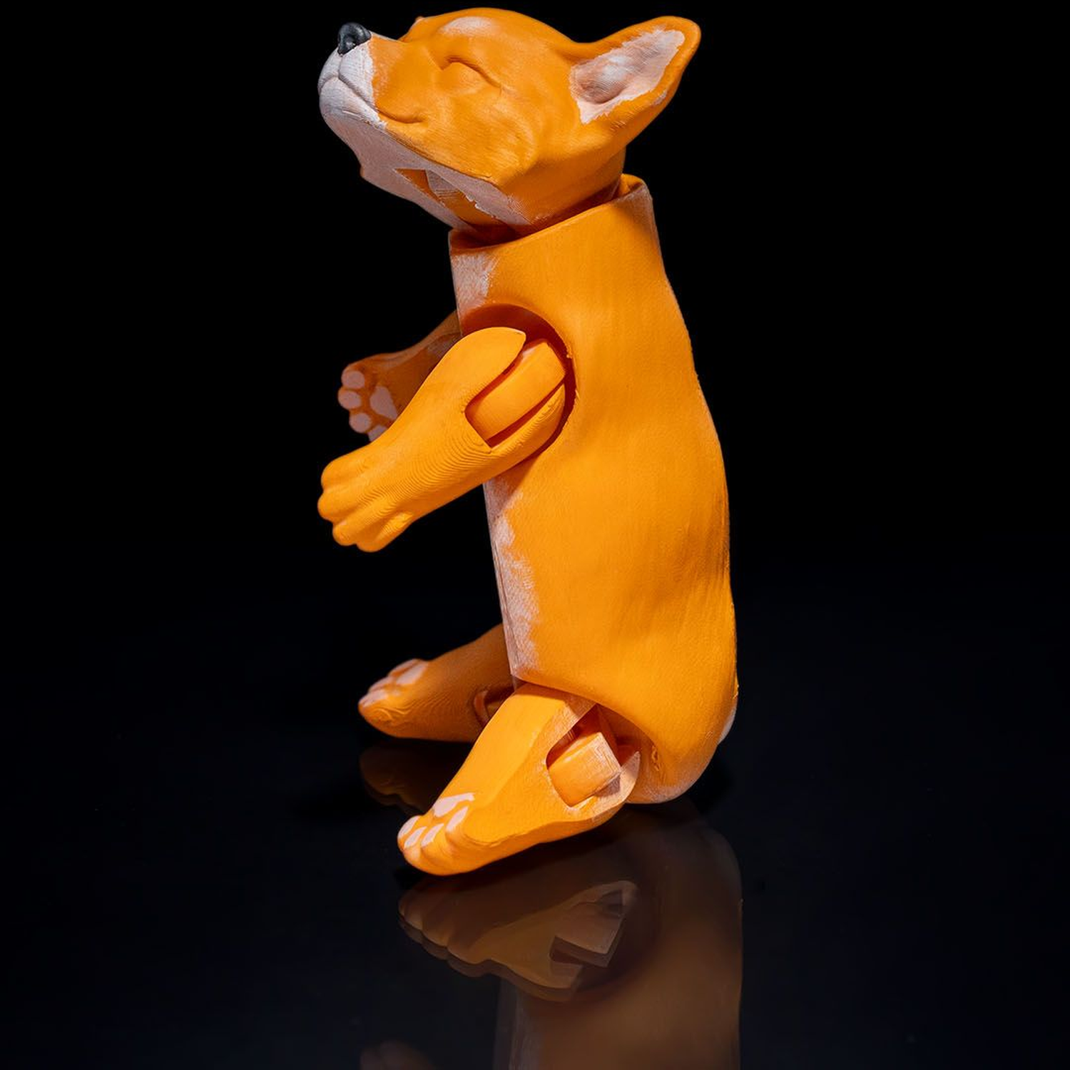 Pembroke Welsh Corgi