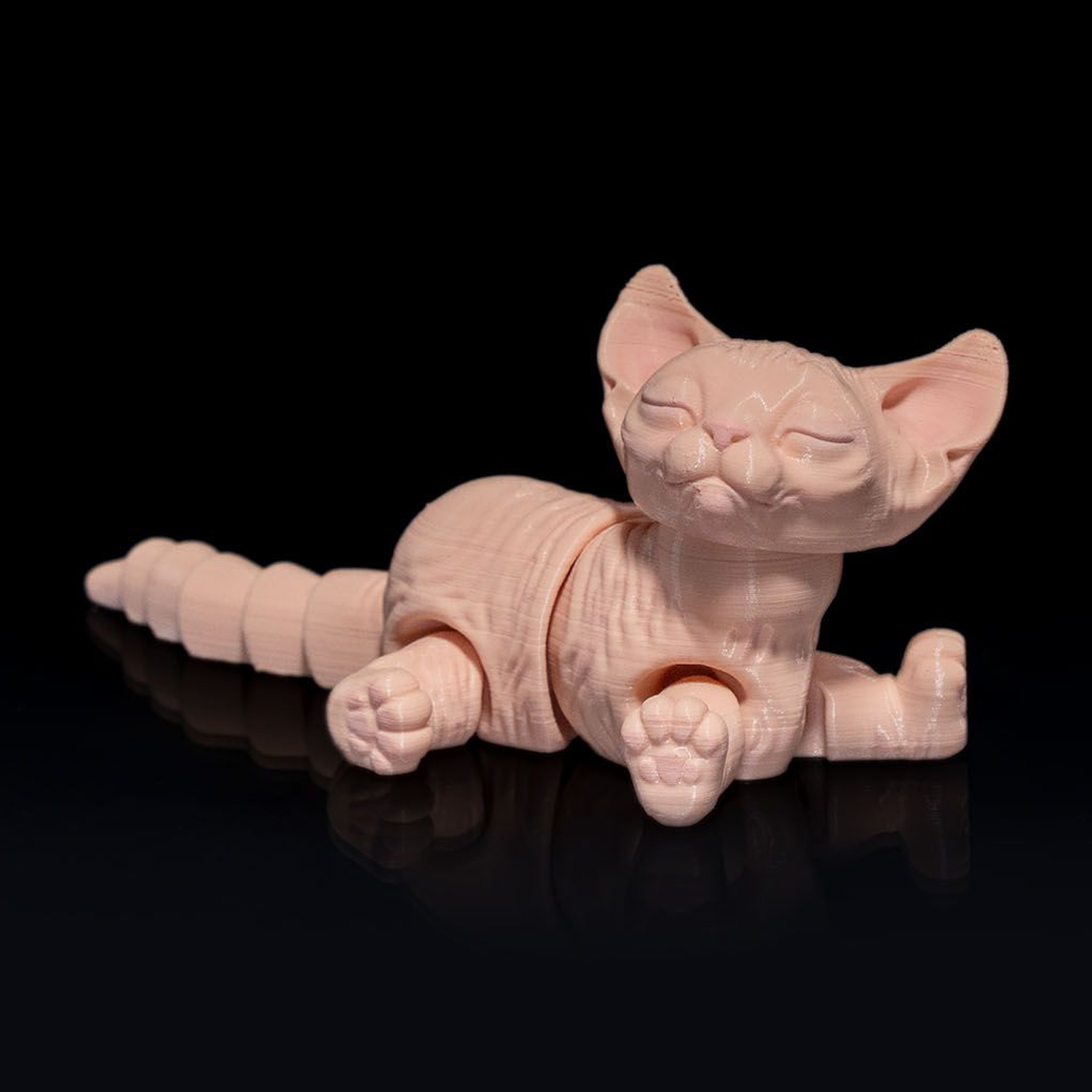 Sphynx Gato