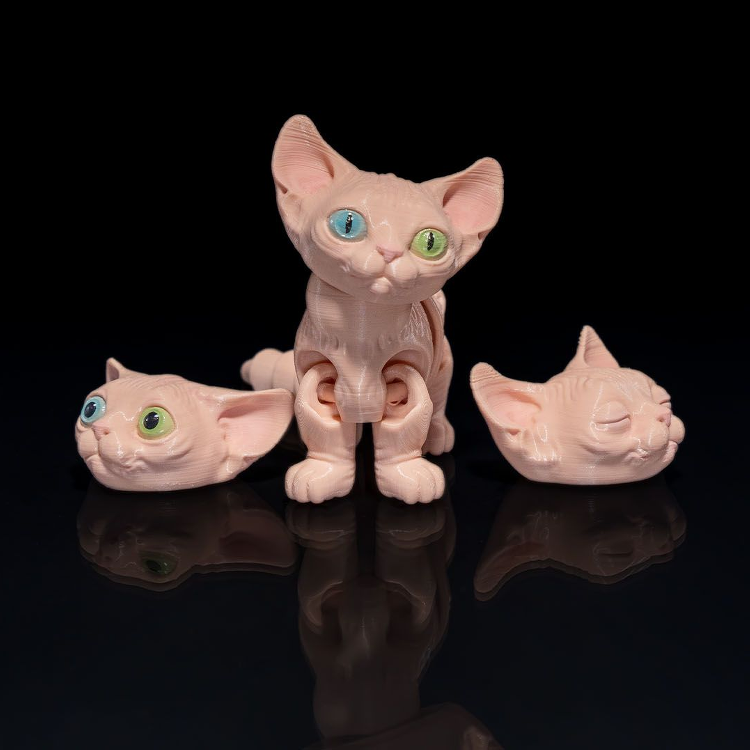 Sphynx Gato