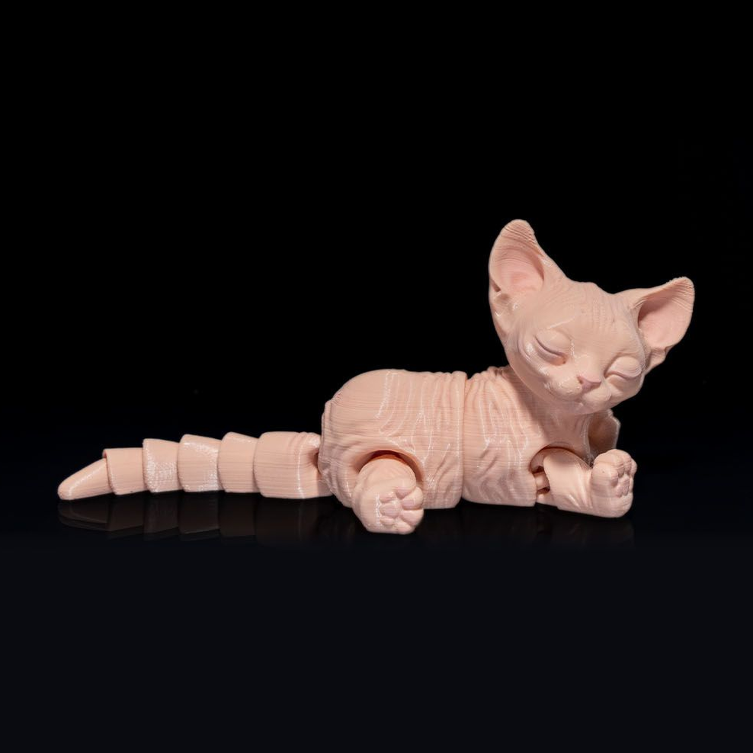 Sphynx Gato