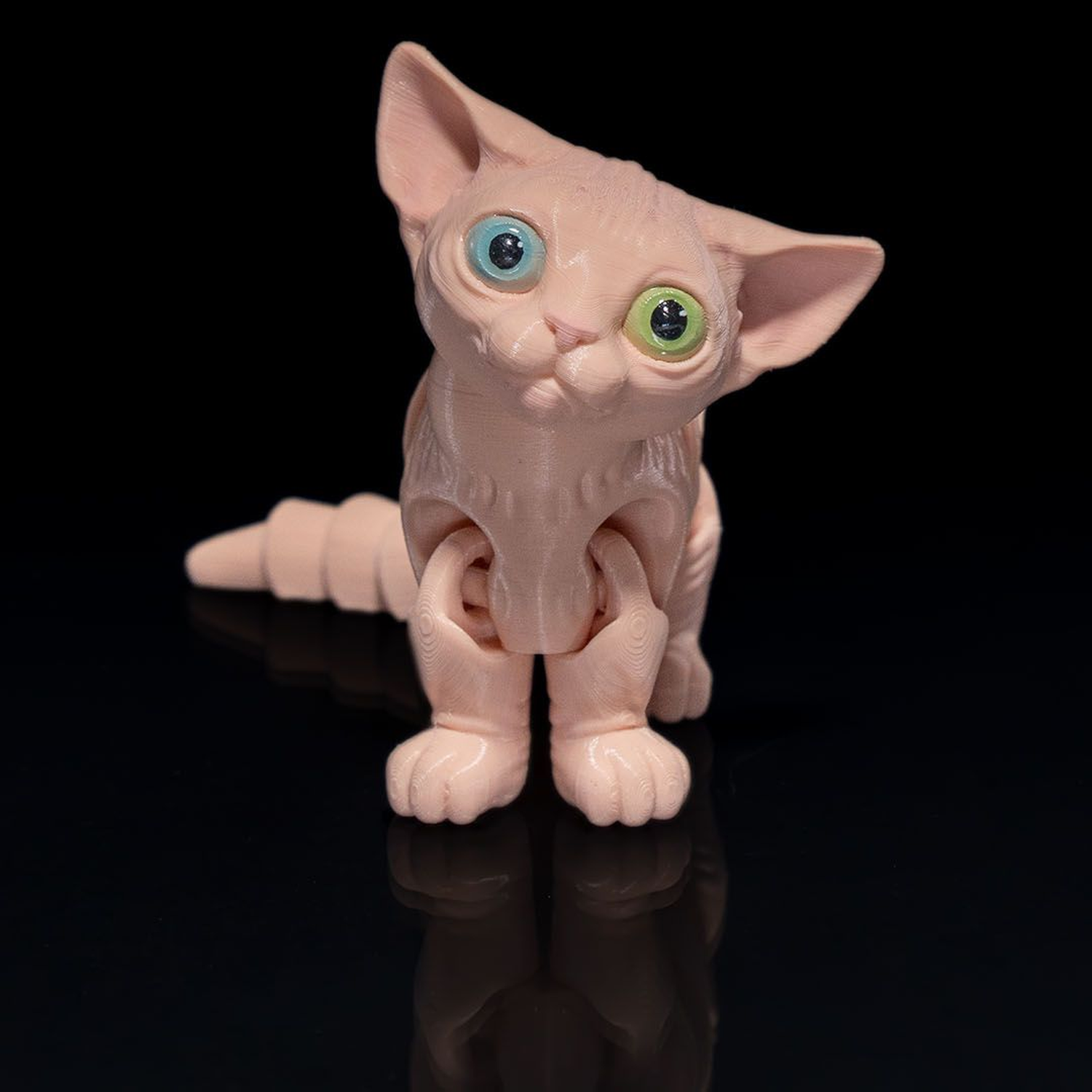 Sphynx Gato