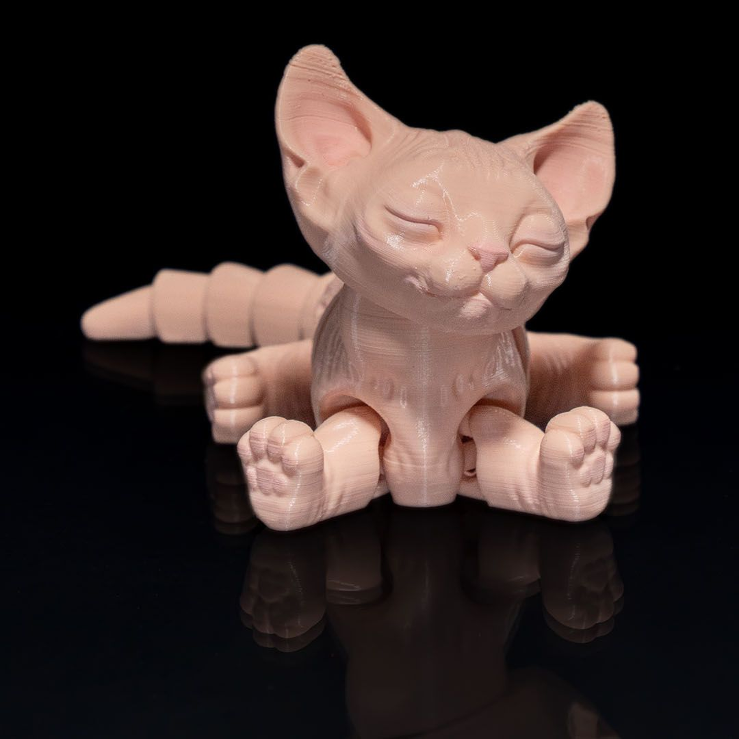Sphynx Gato