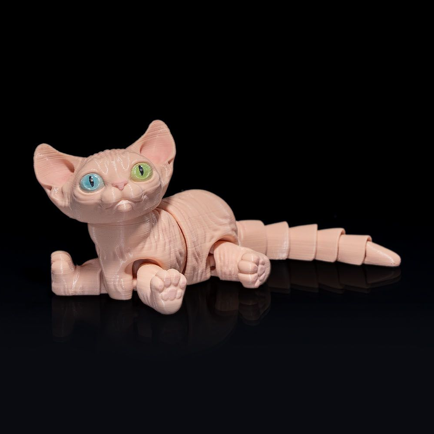 Sphynx Gato