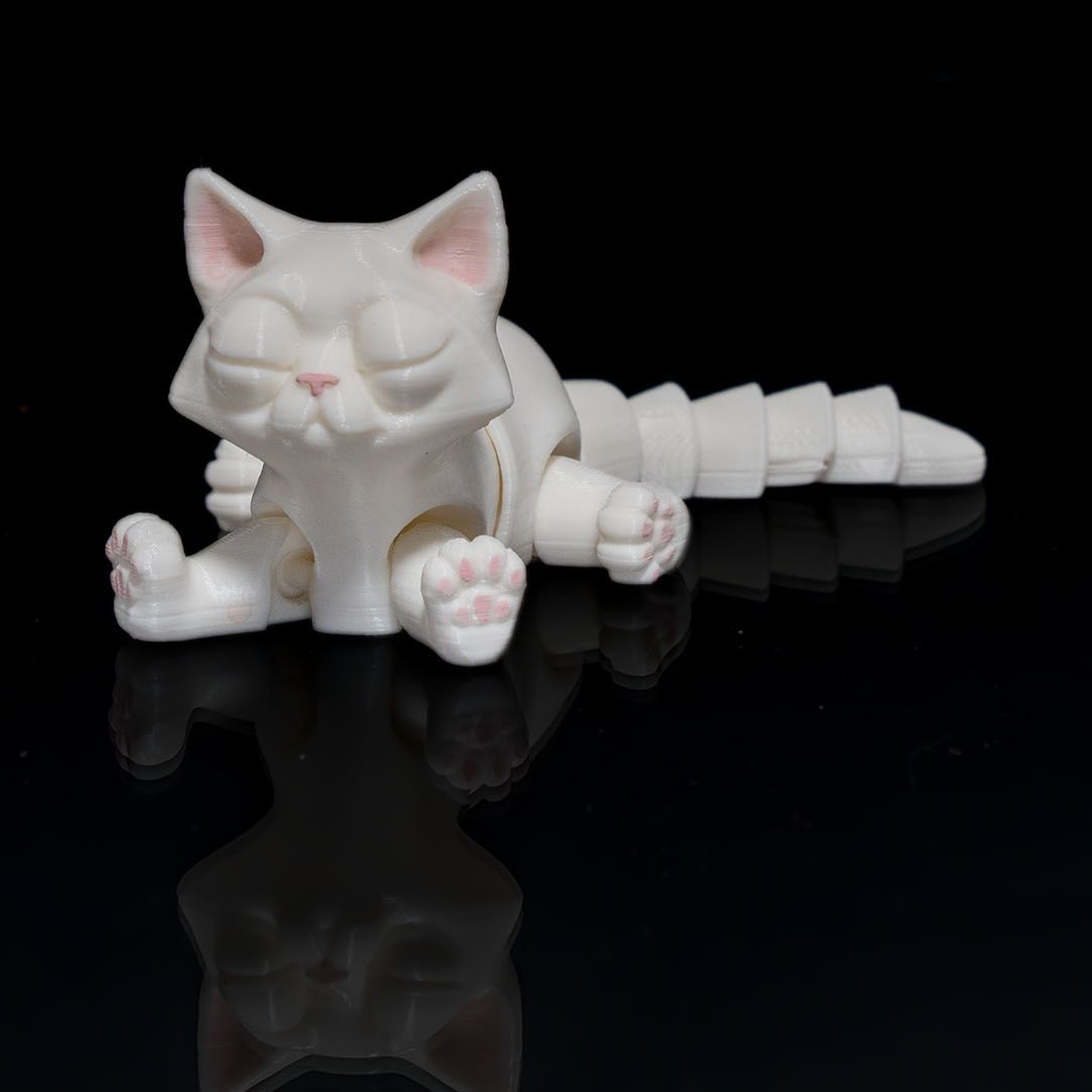 Busya The Gato