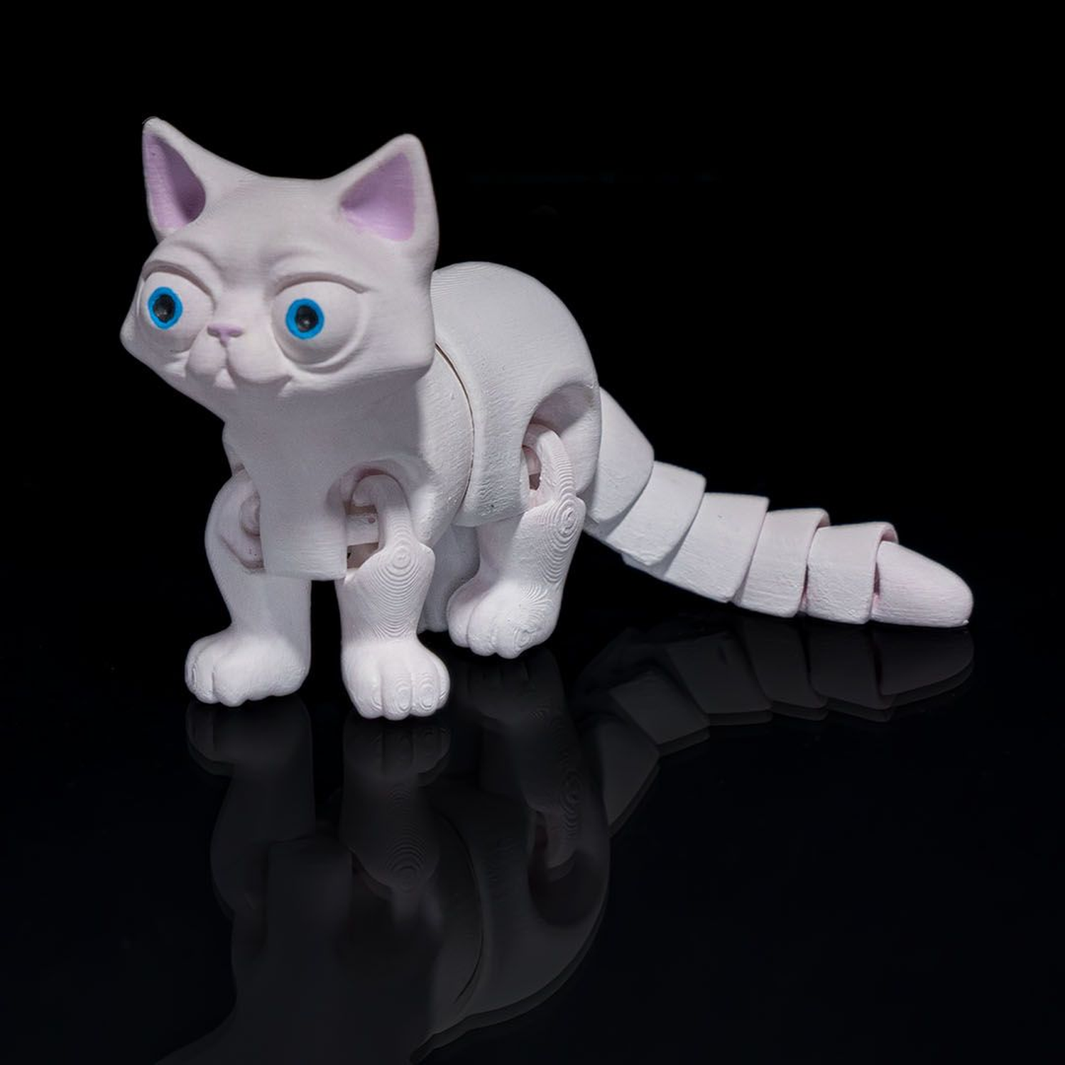 Busya The Gato