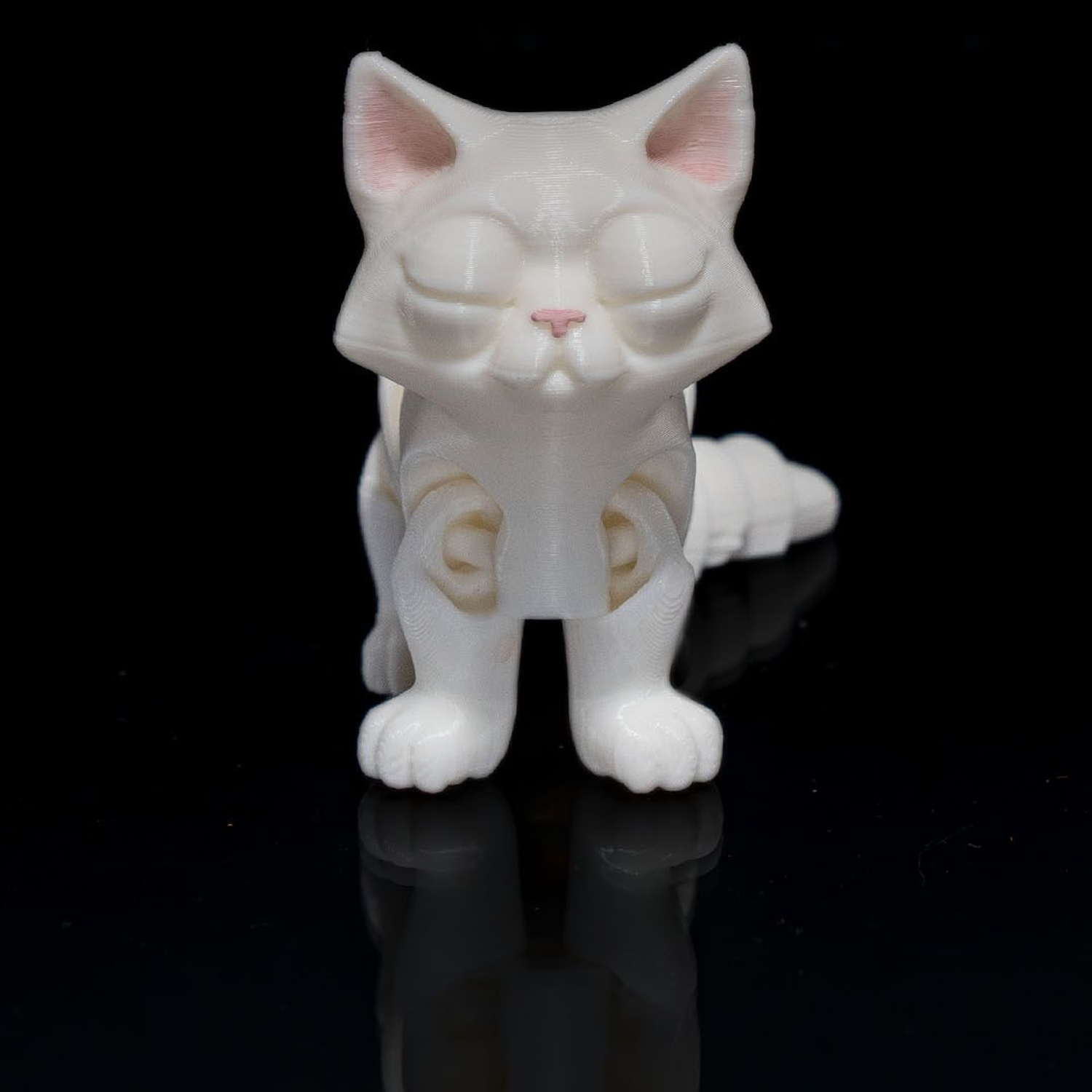 Busya The Gato