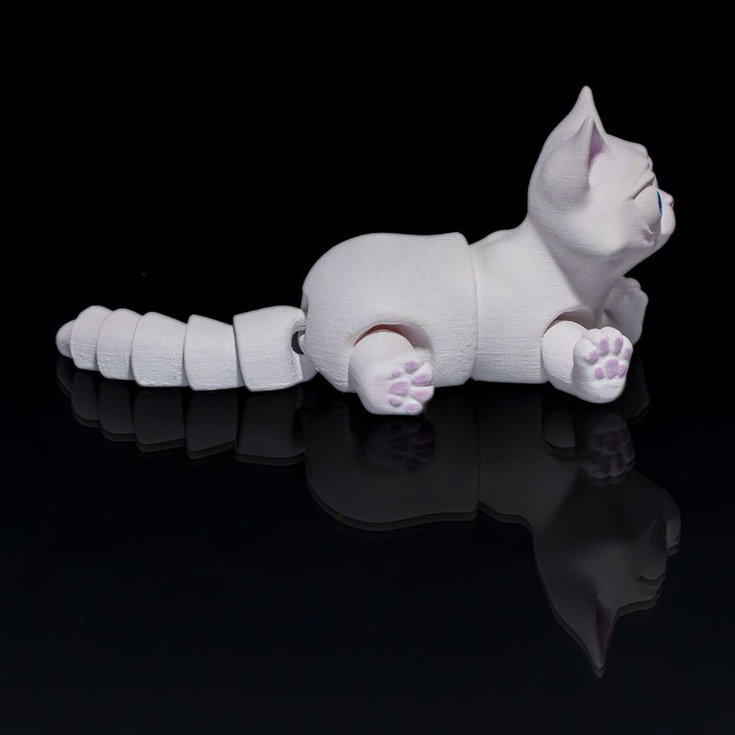 Busya The Gato