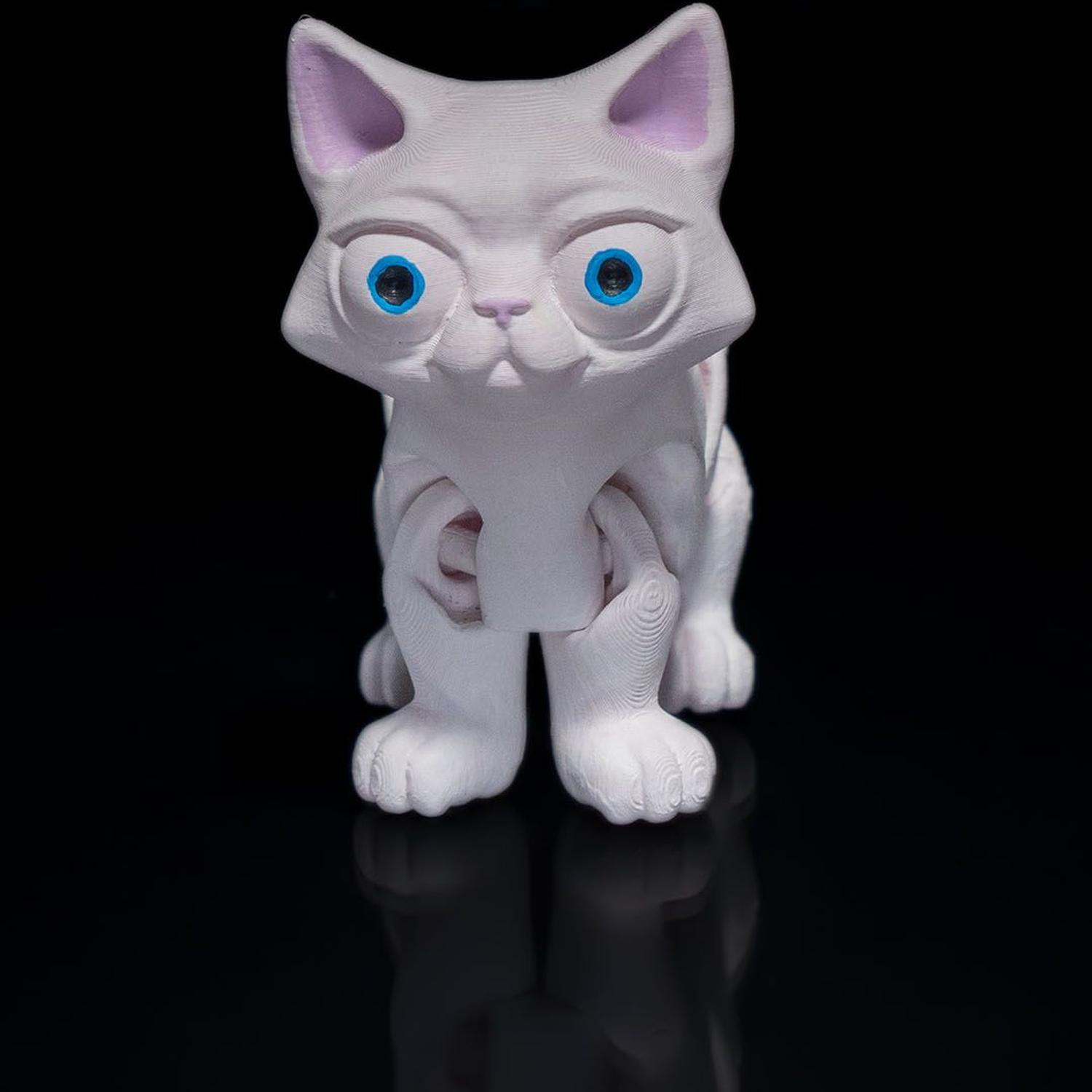 Busya The Gato