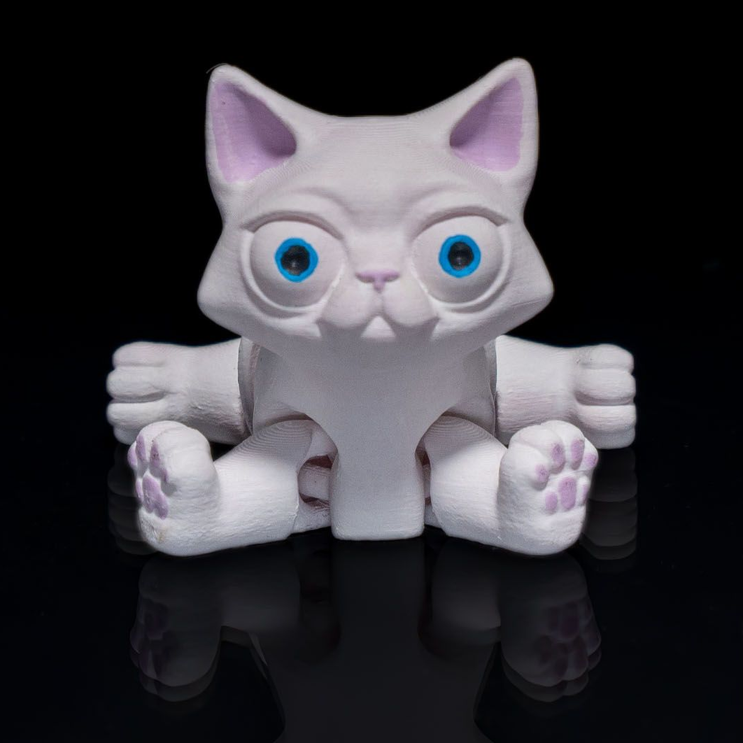 Busya The Gato