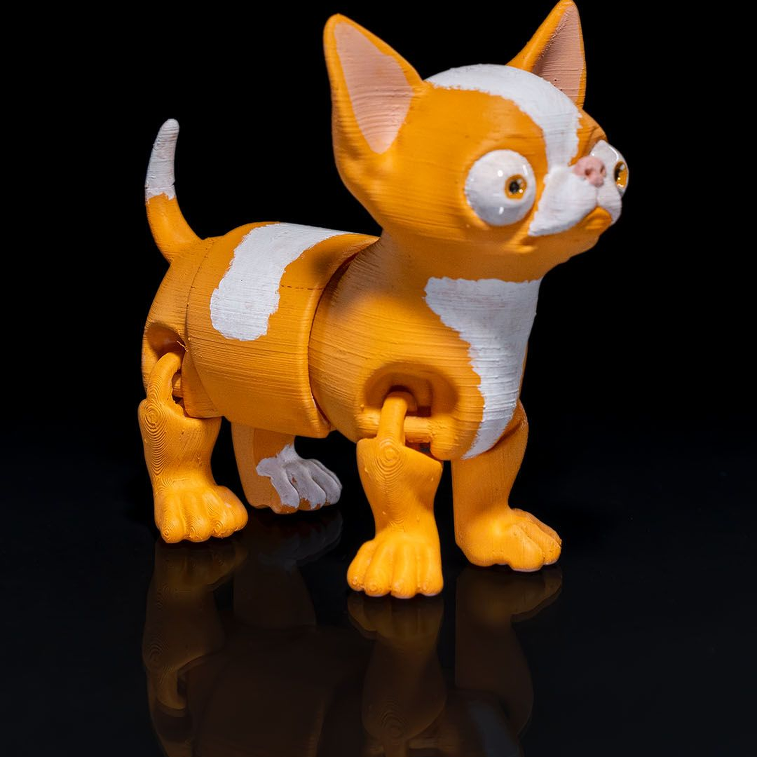 Richard the Chihuahua