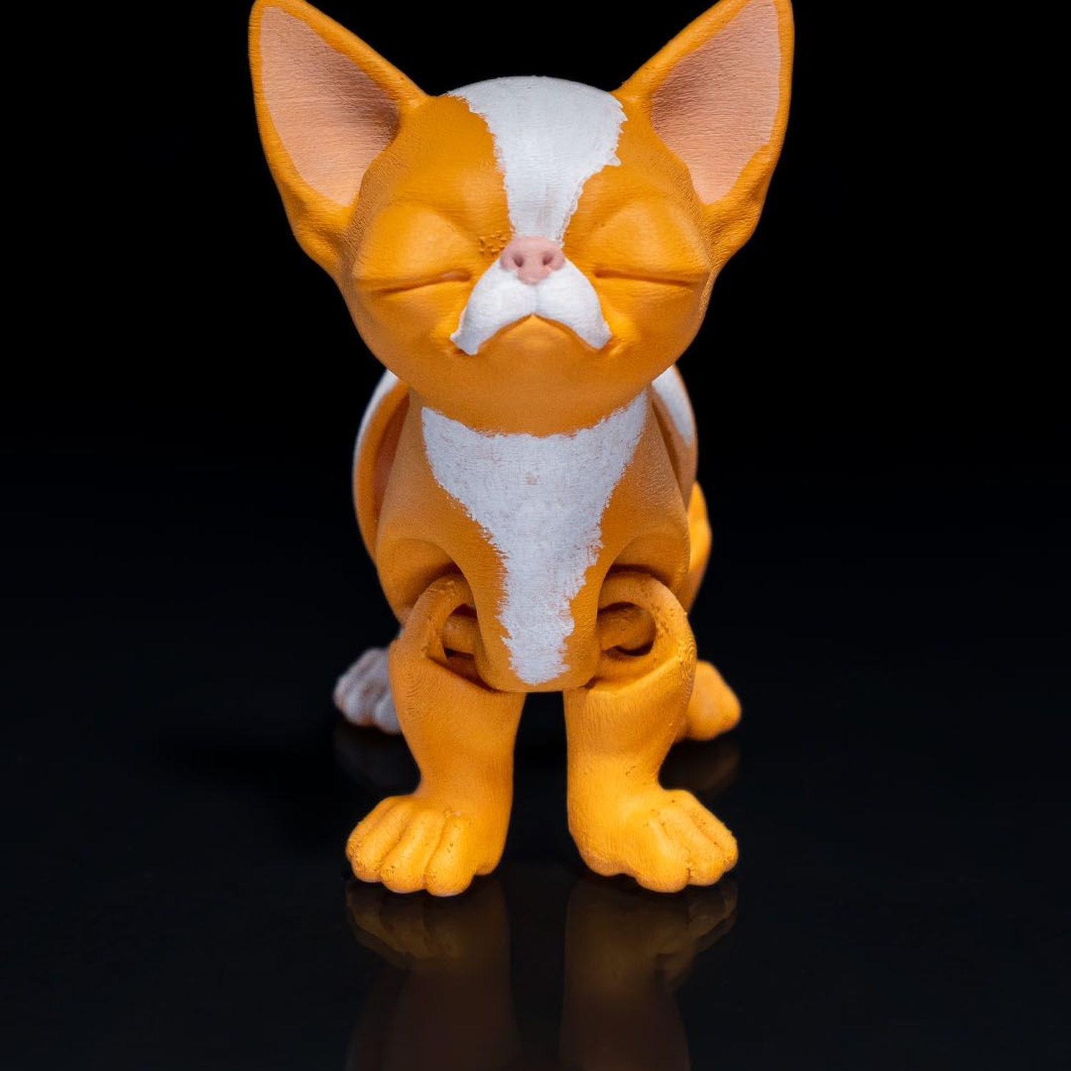 Richard the Chihuahua