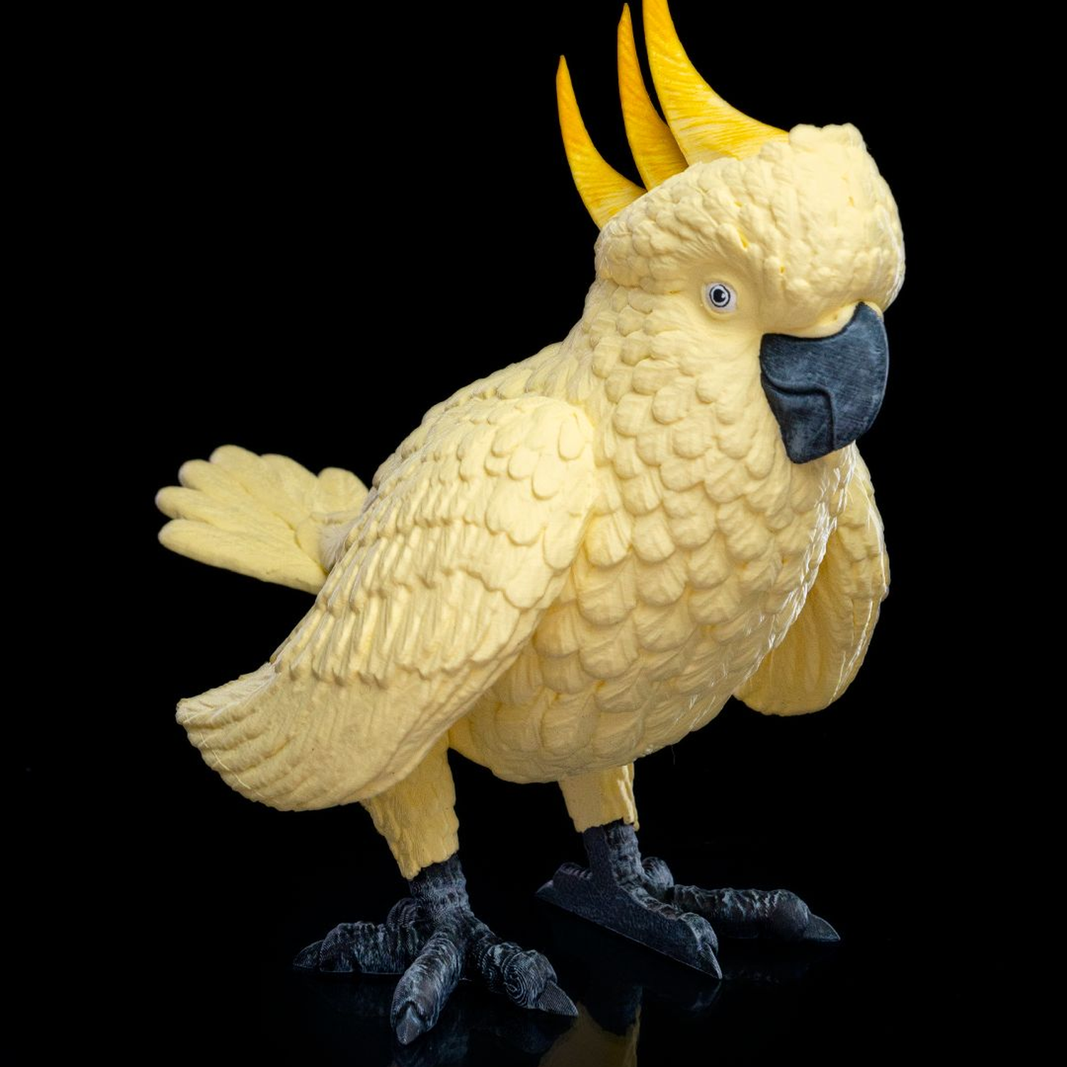 Cacatúa articulada Cha-Cha-Too