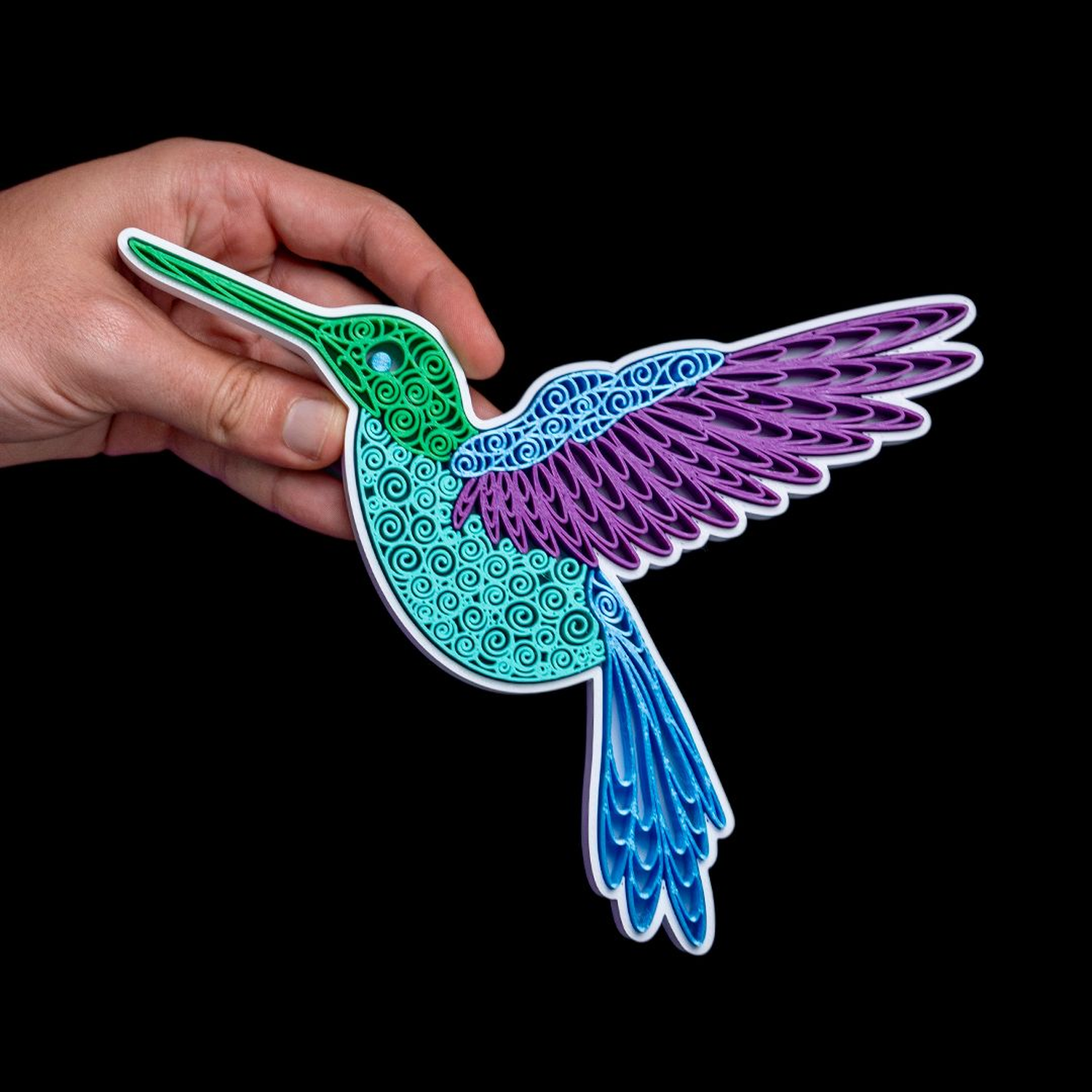 Quilled Humming Bird
