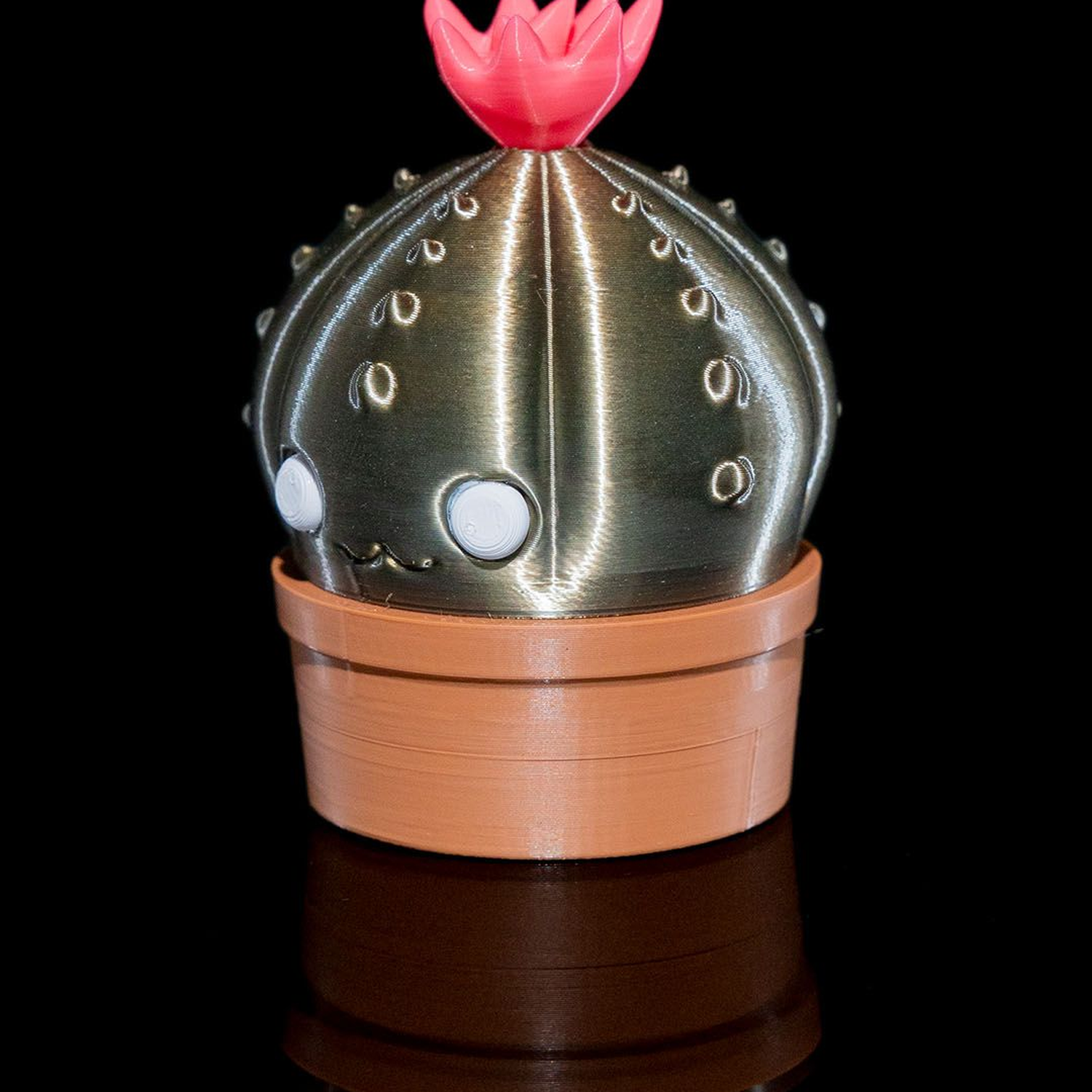 Cactus Grinder