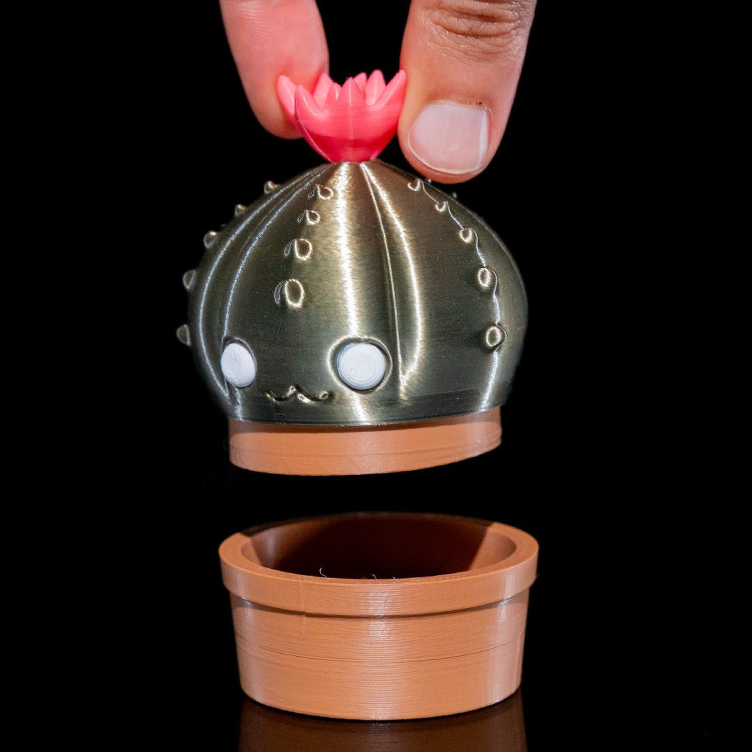 Cactus Grinder