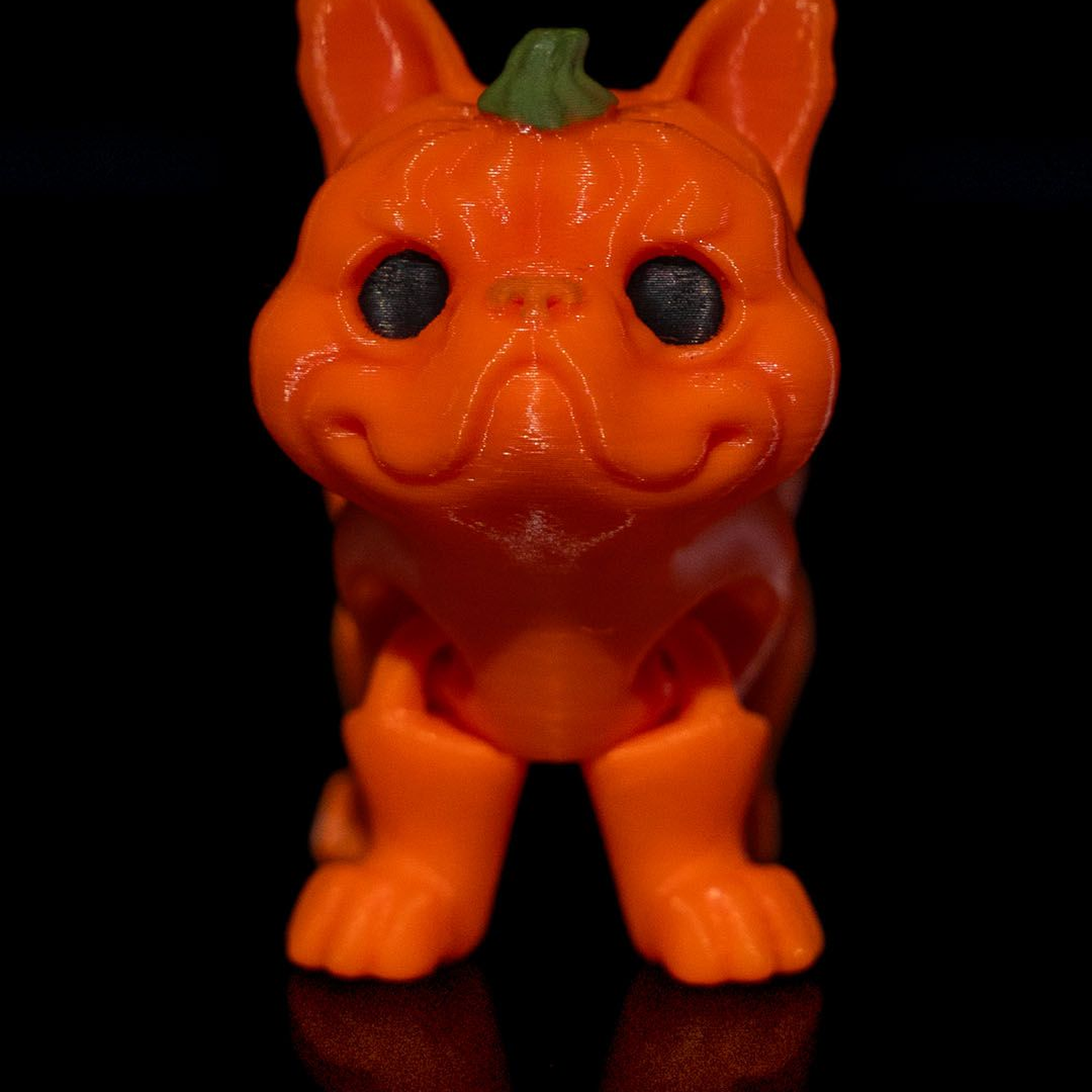 Pumpkin Dog