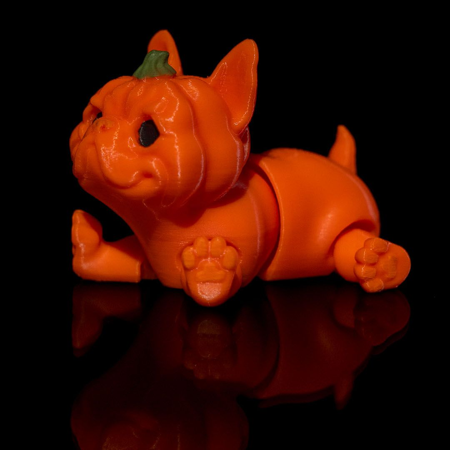 Pumpkin Dog