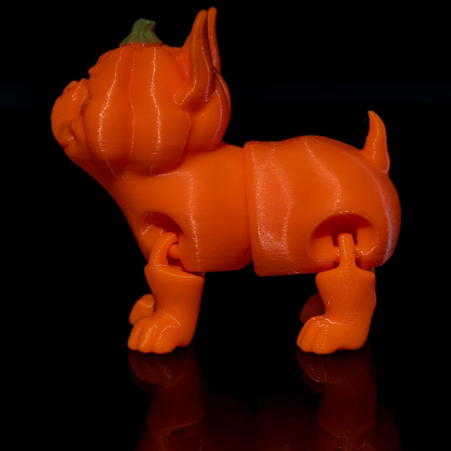 Pumpkin Dog