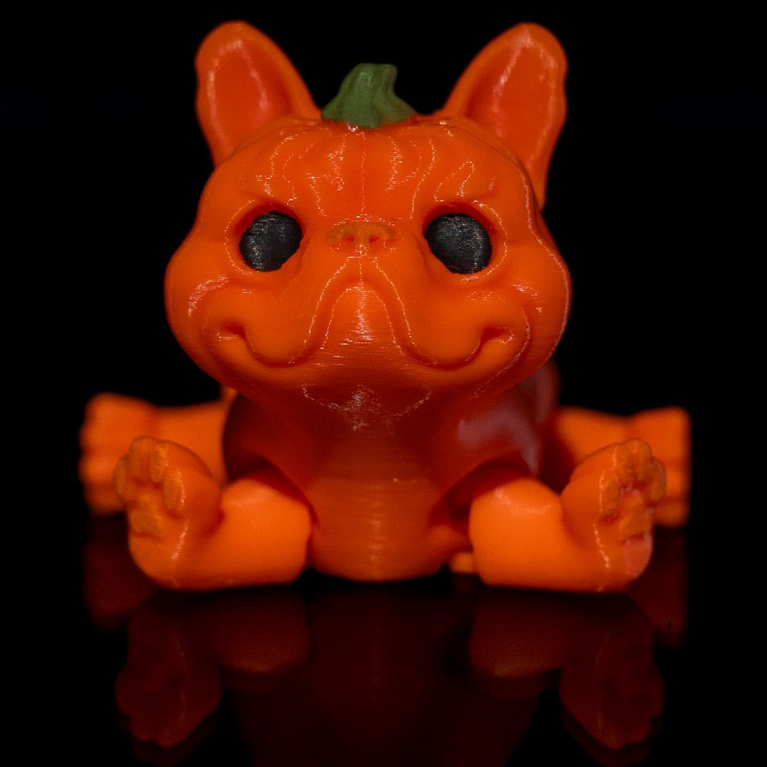 Pumpkin Dog