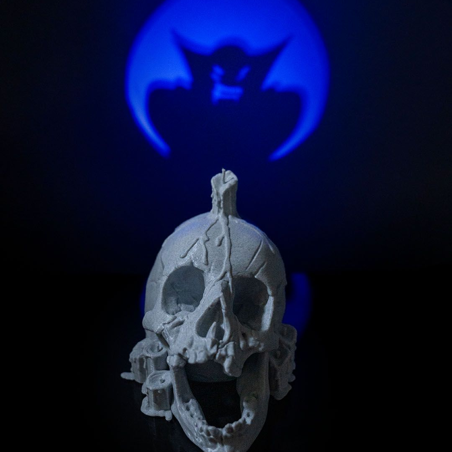 Skull Candle
