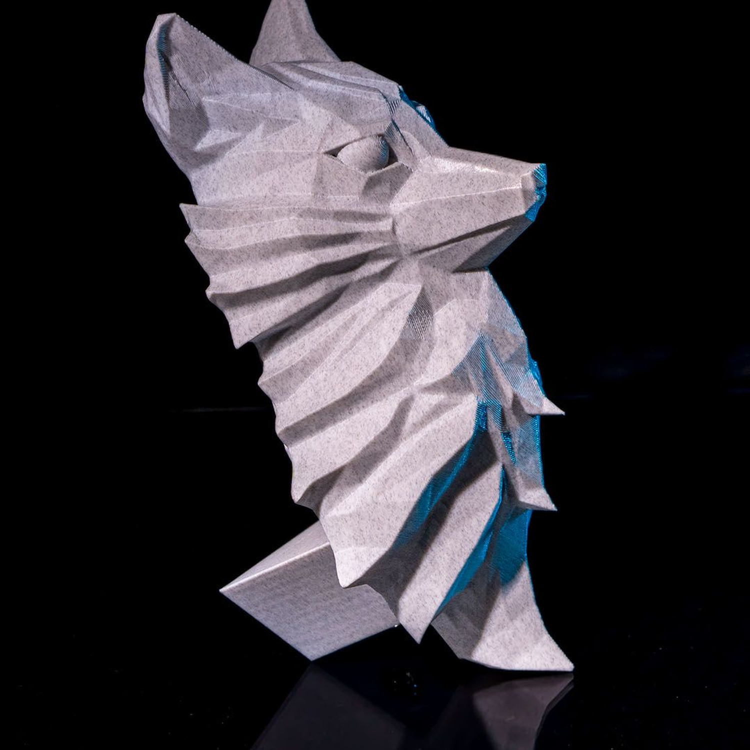 The Nine-Tailed Fox