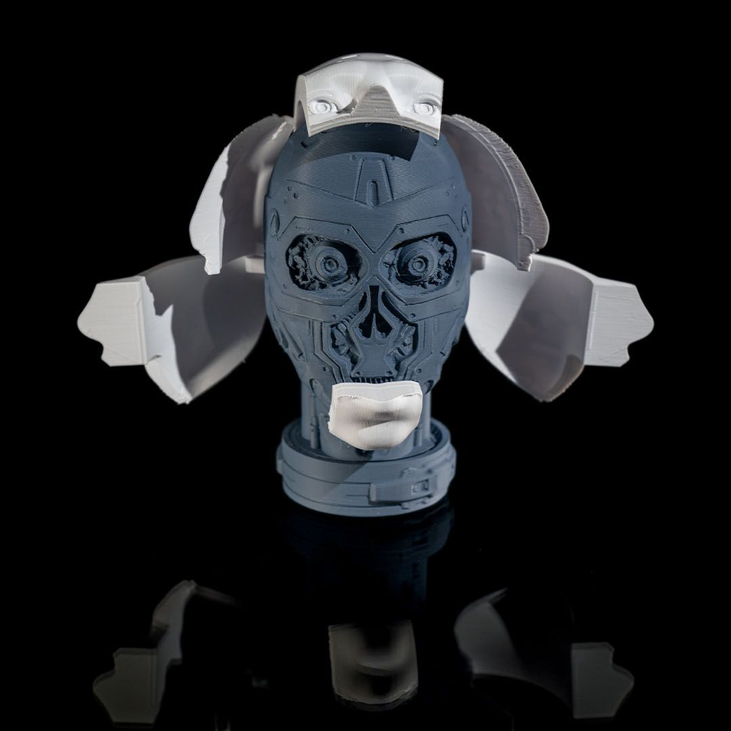 Robot Anatomy