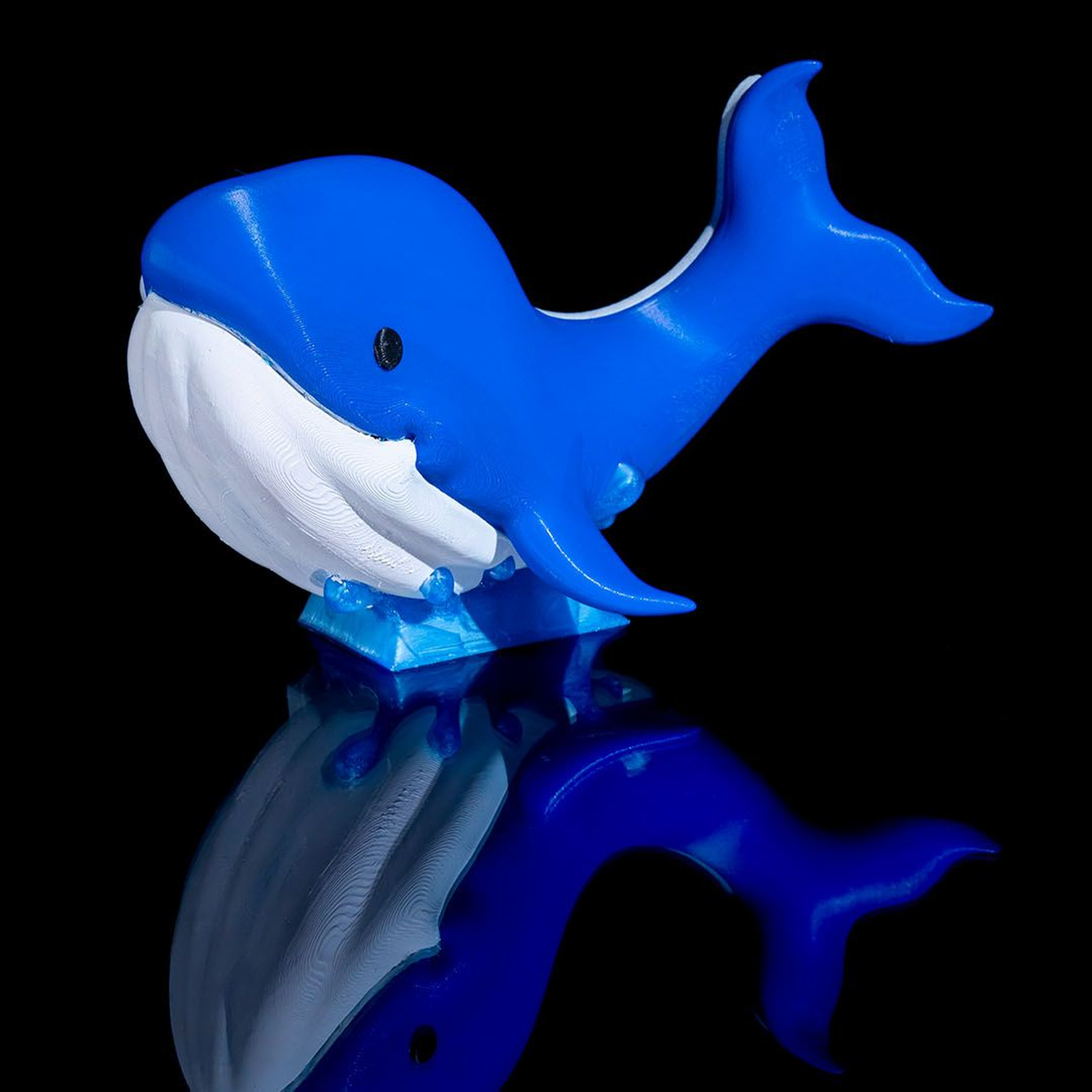 Baby Whale