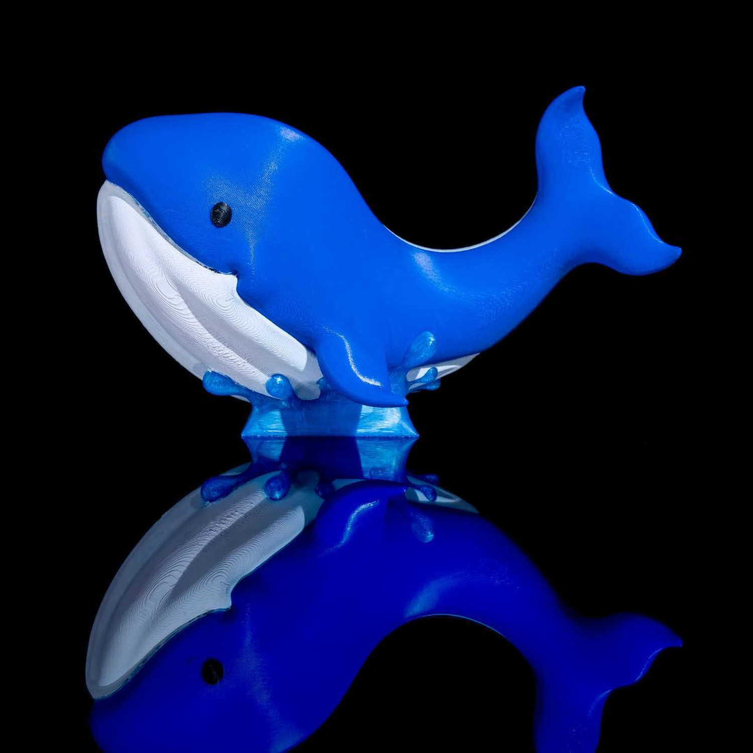 Baby Whale