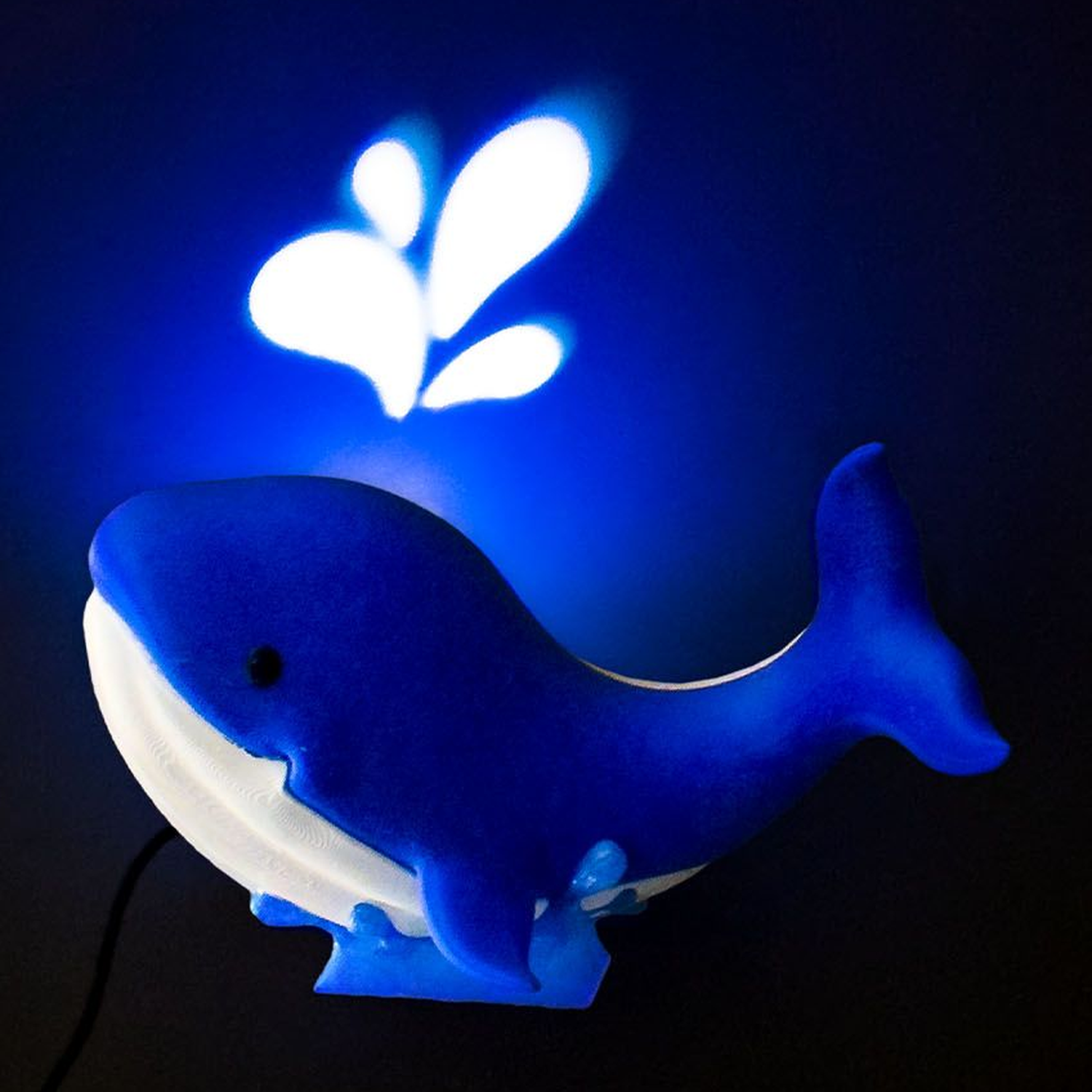 Baby Whale