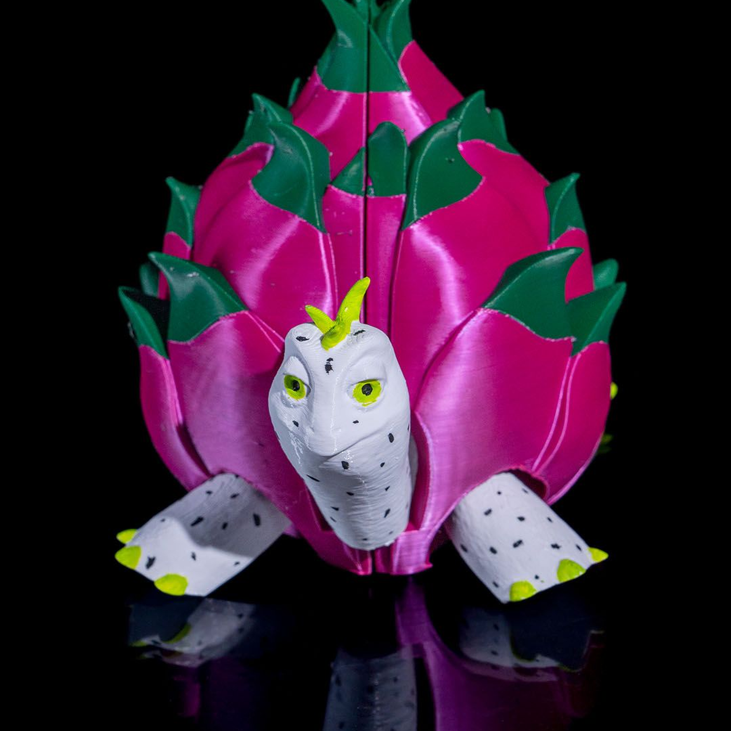 Turtle Fruit