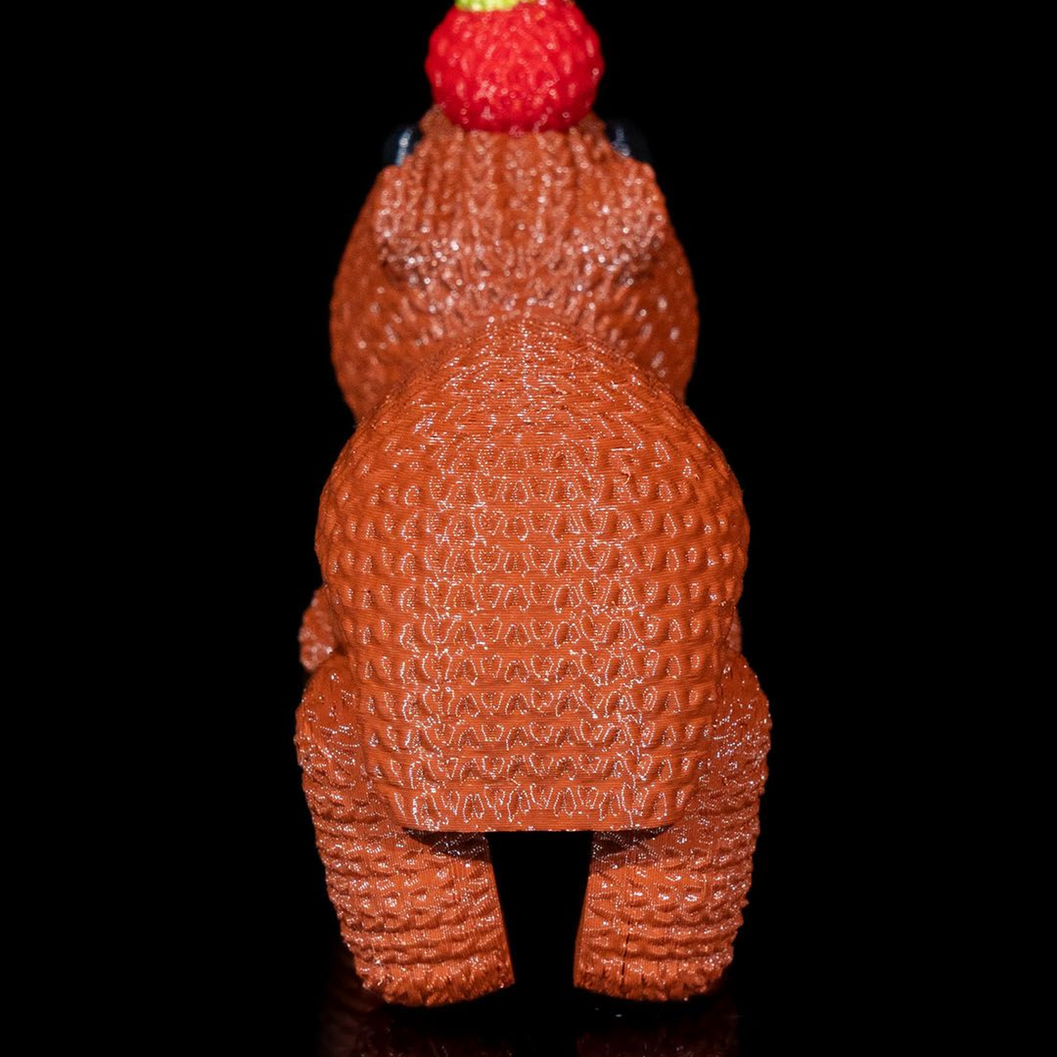 CapyCrochet