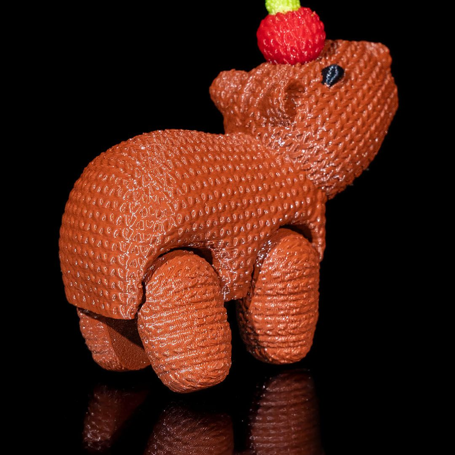 CapyCrochet
