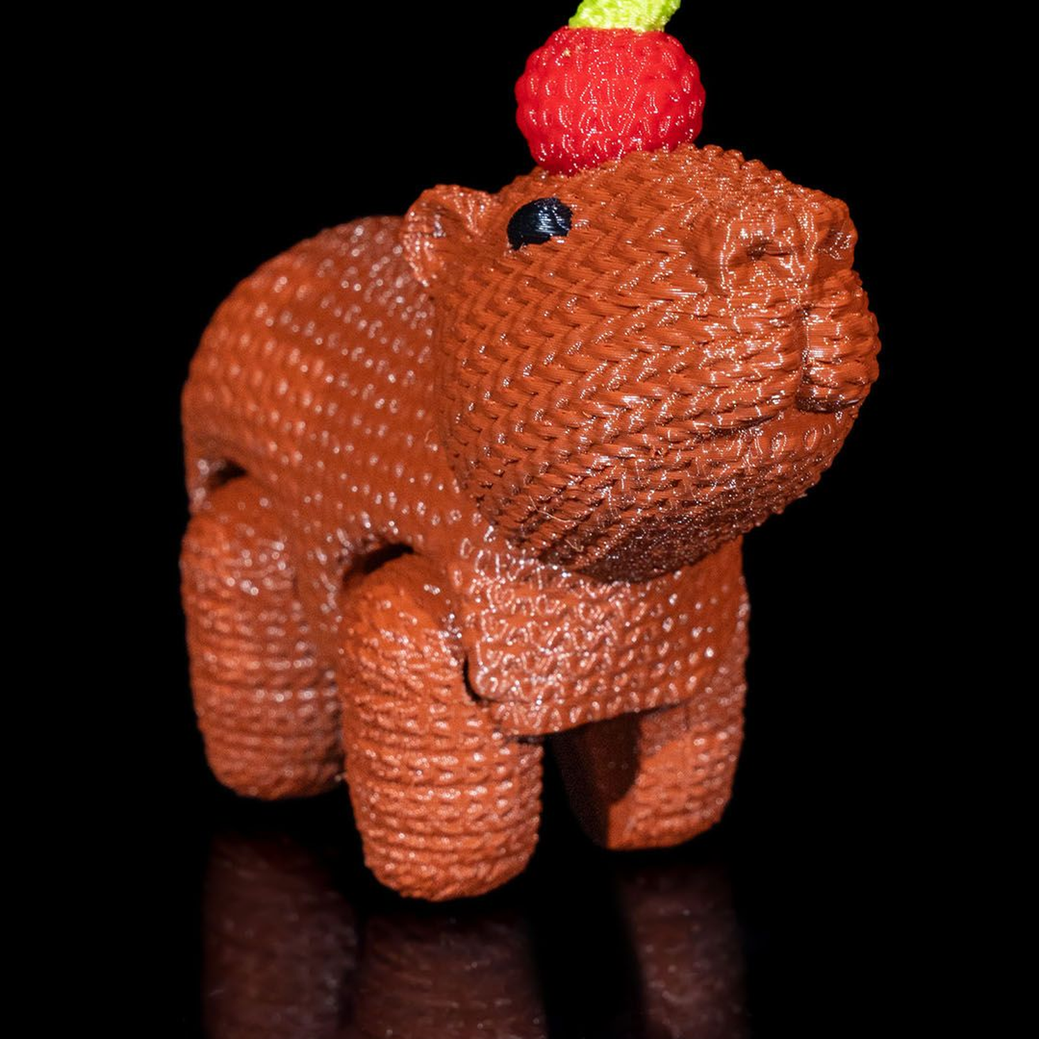CapyCrochet