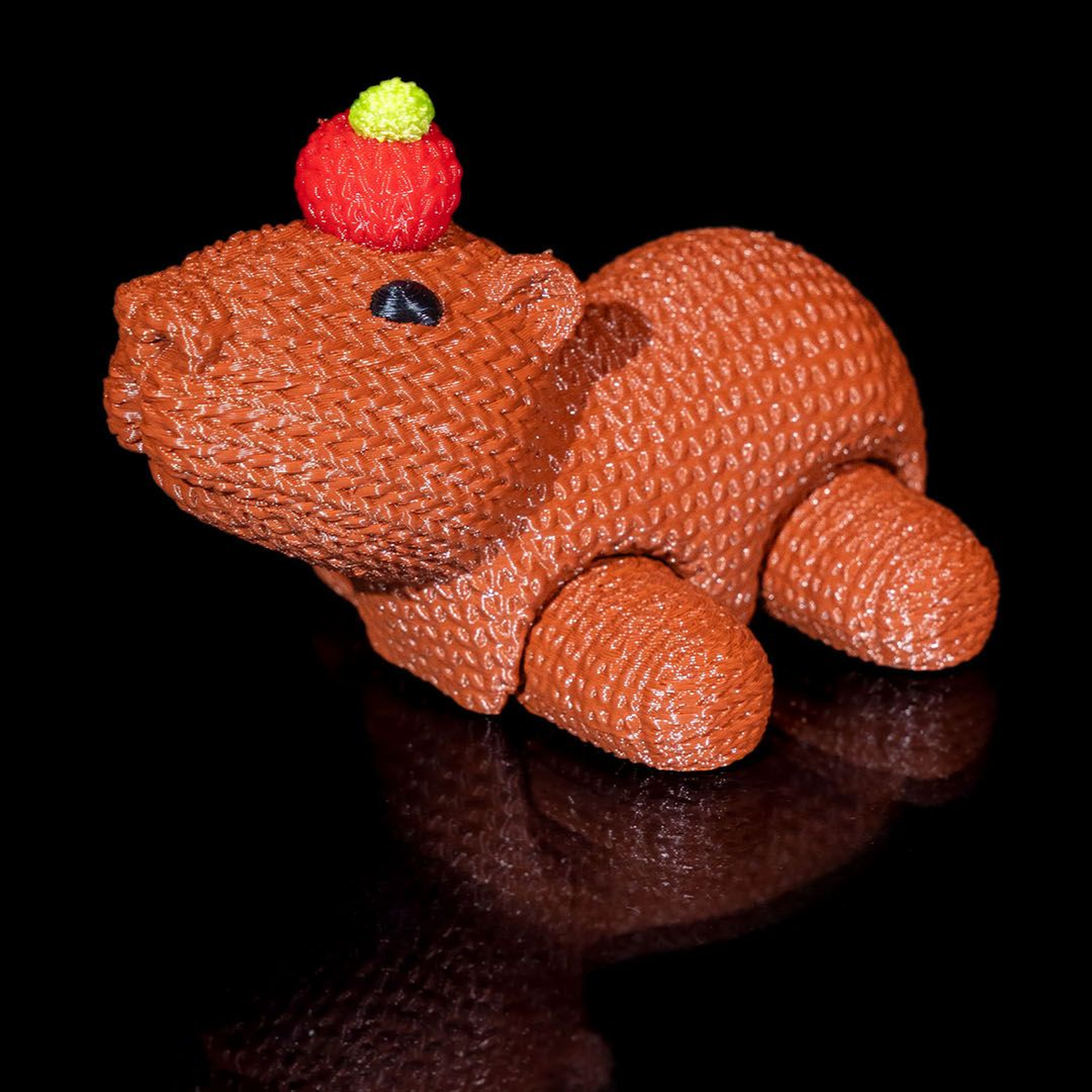 CapyCrochet