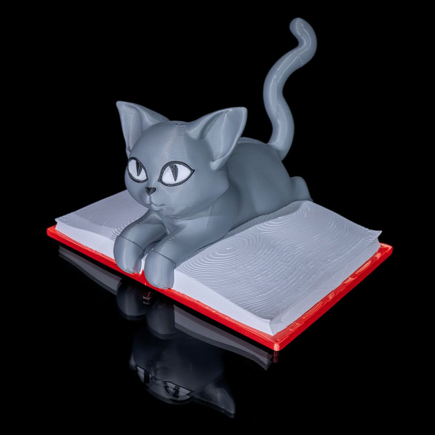 Cattus Librum