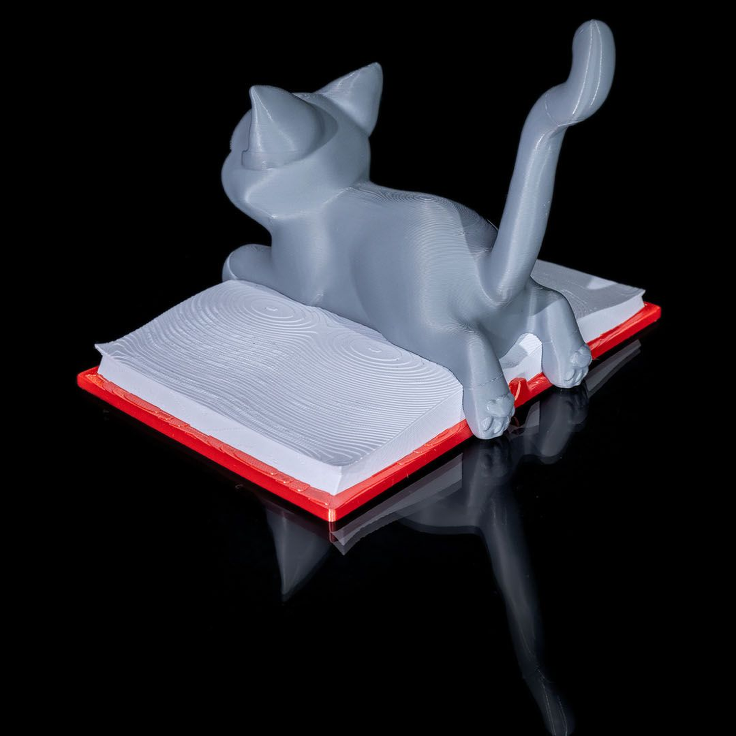Cattus Librum