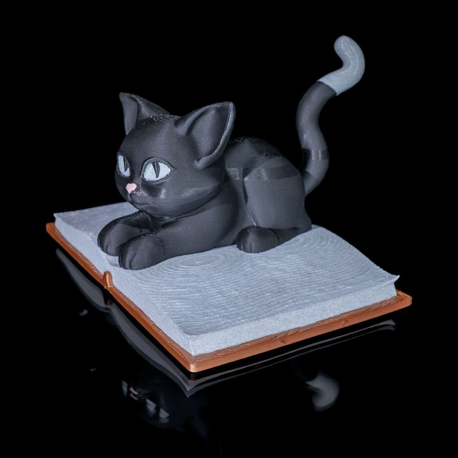 Cattus Librum