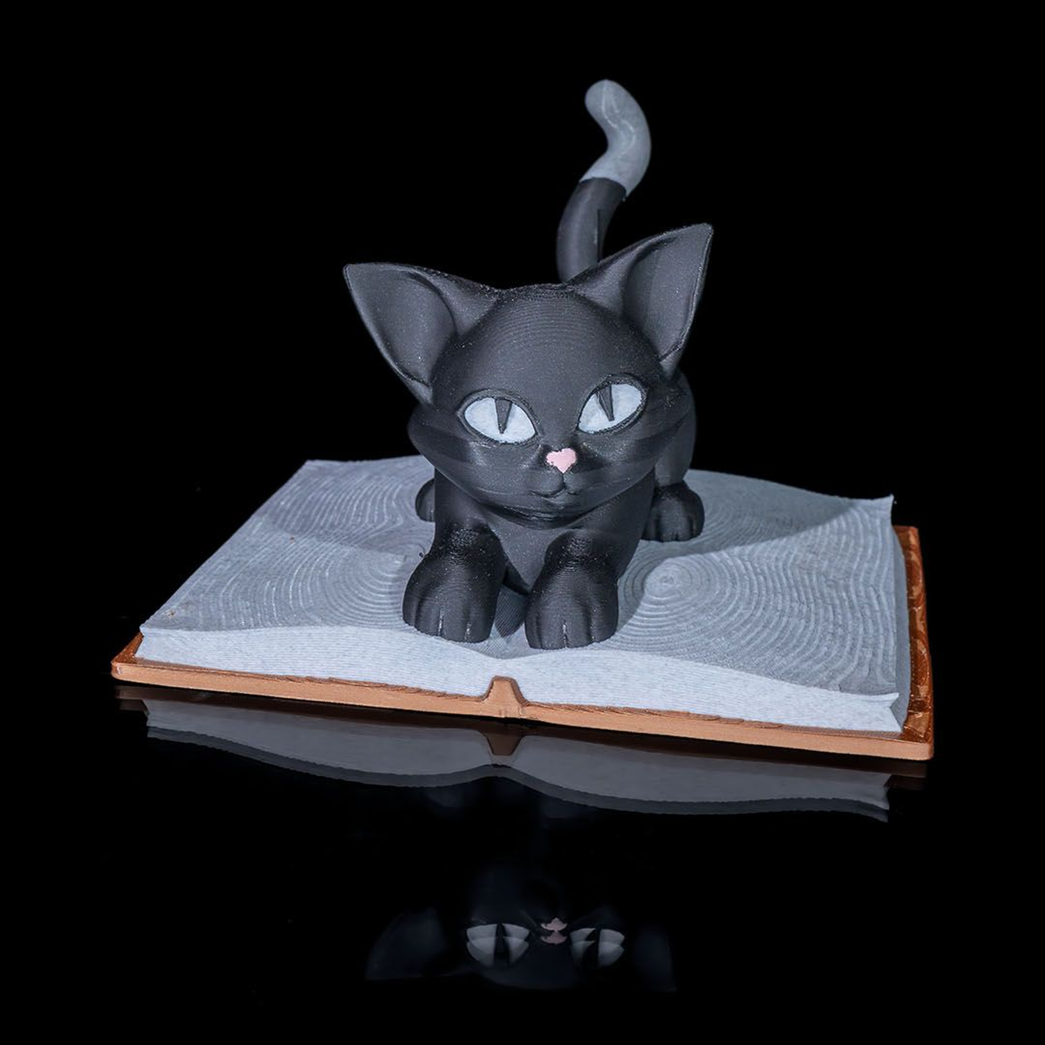 Escultura de gato Cattus Librum