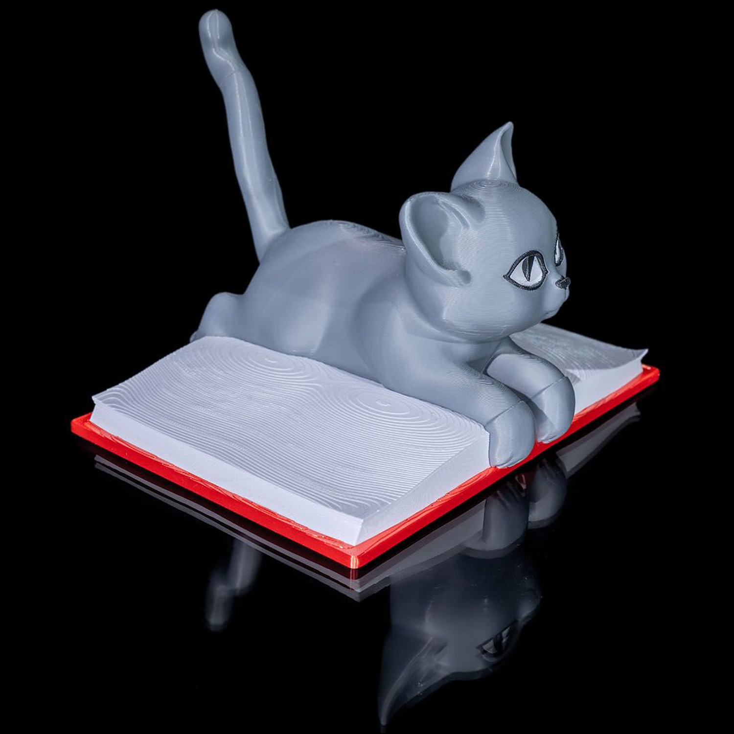 Cattus Librum