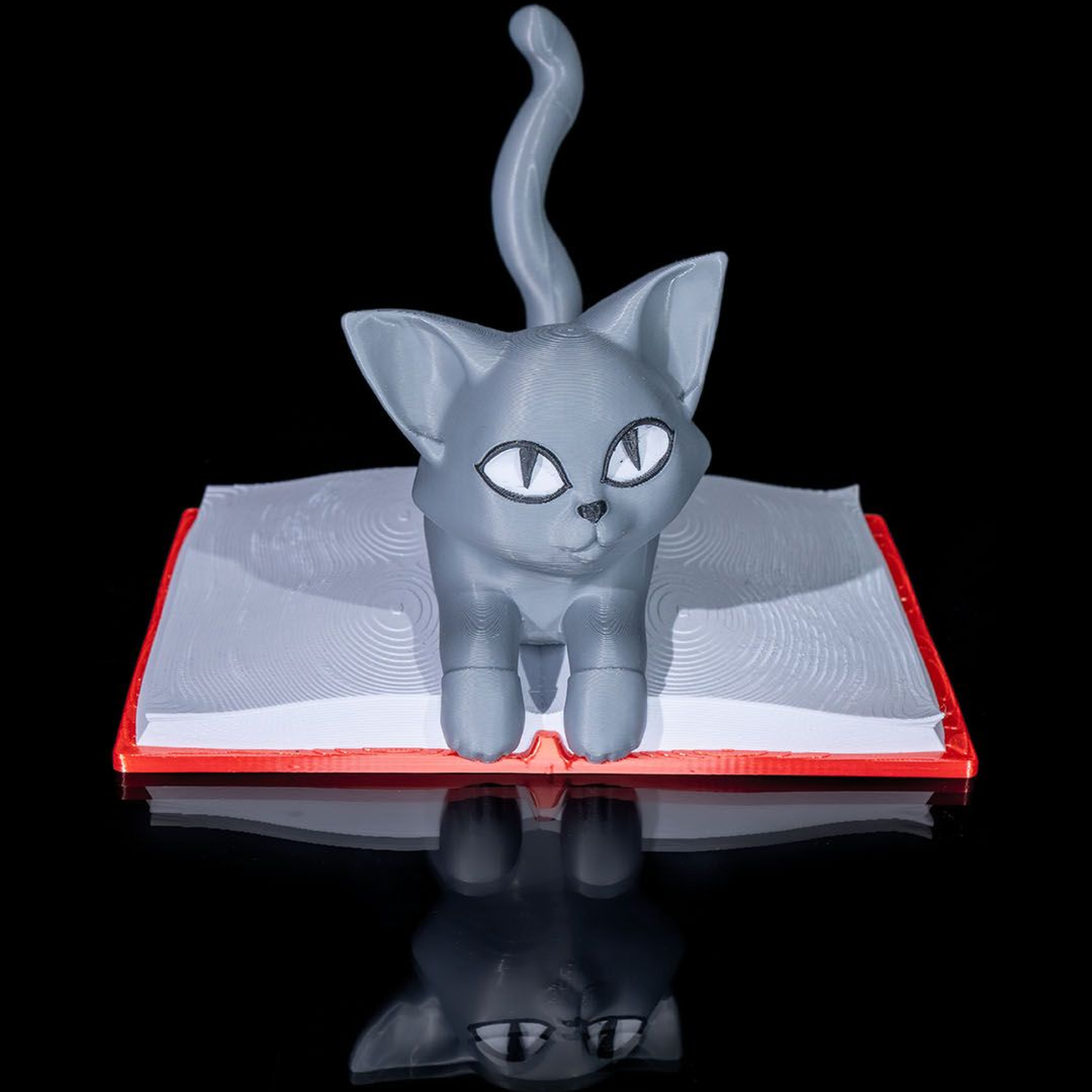 Cattus Librum