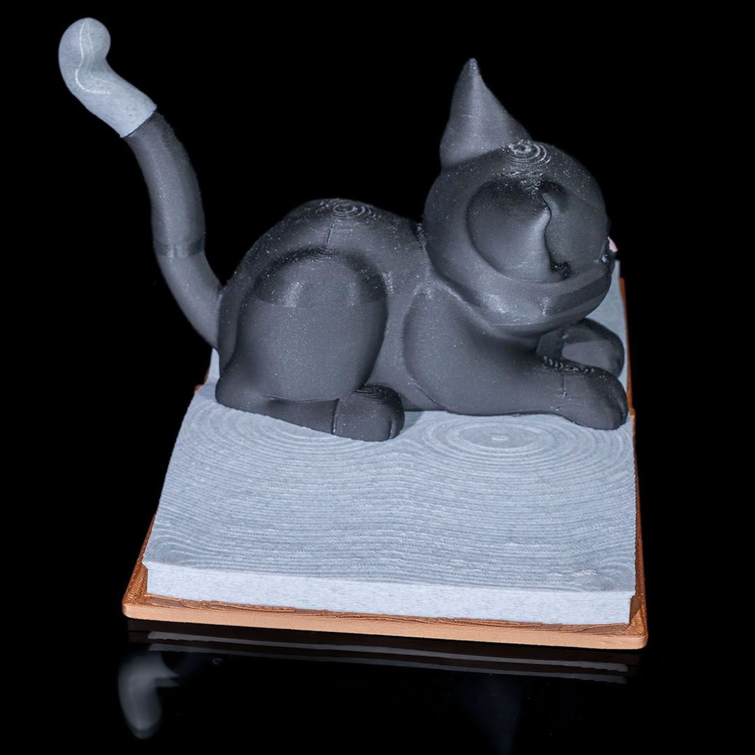 Cattus Librum