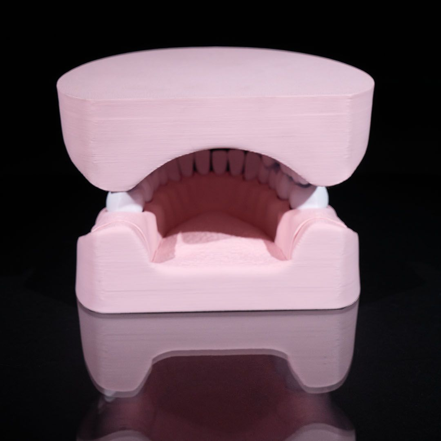 Upper and Lower Dental Arch