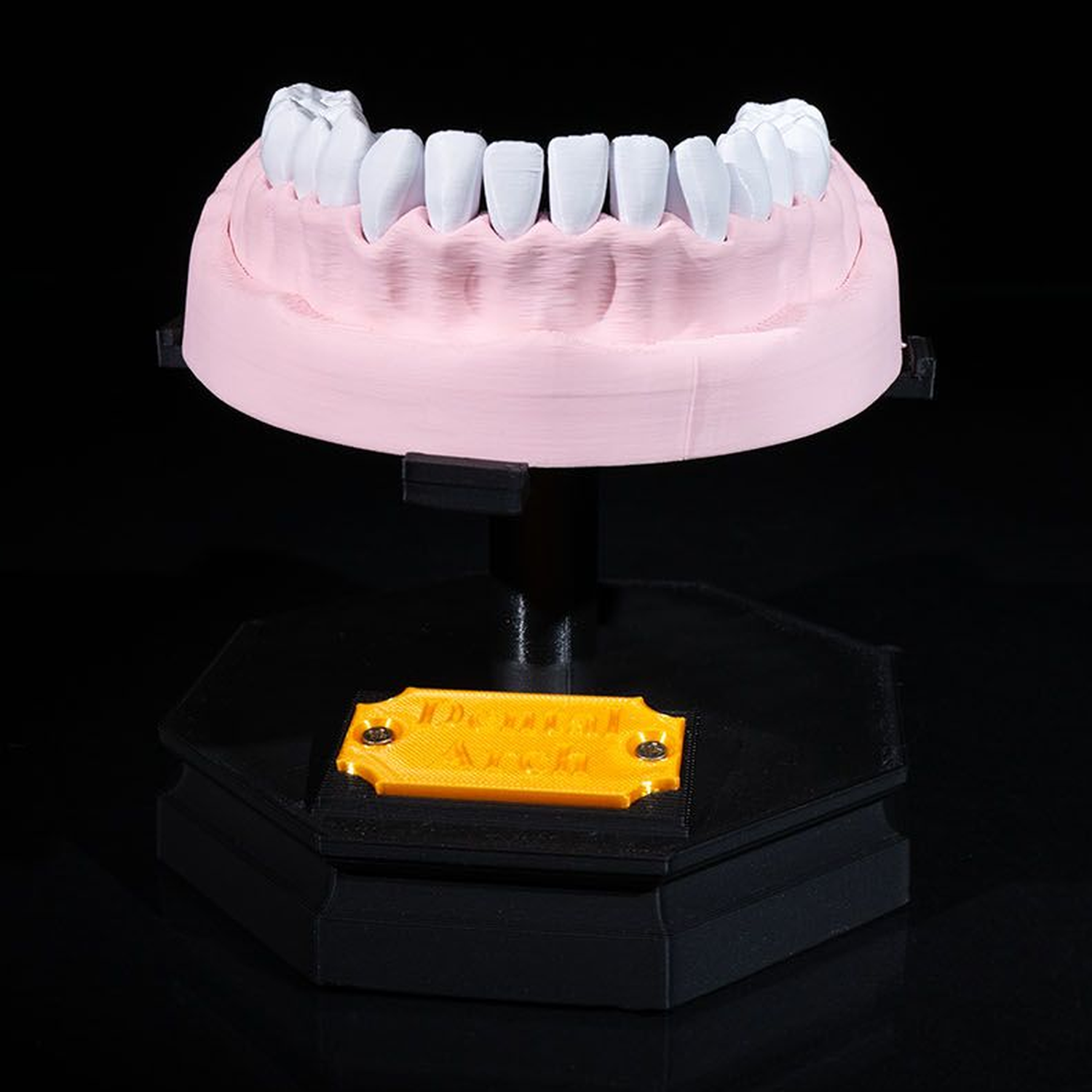 Upper and Lower Dental Arch